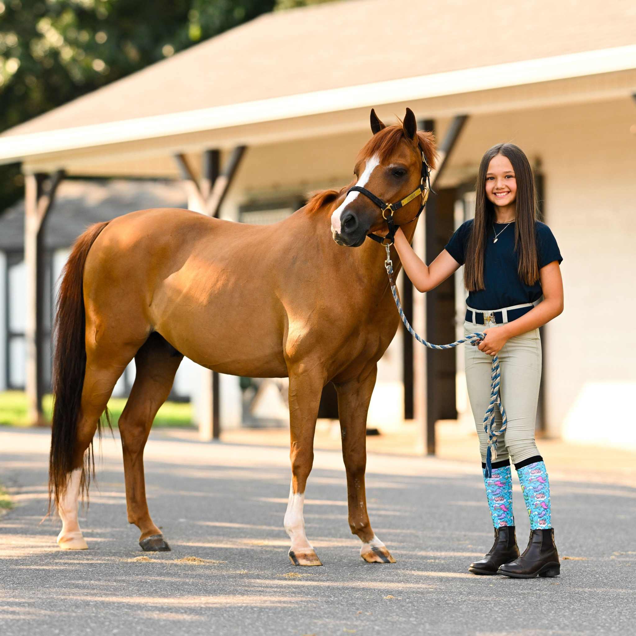 dreamers & schemers Youth Dragon Dreams Youth Pair & A Spare Socks equestrian boot socks boot socks thin socks riding socks pattern socks tall socks funny socks knee high socks horse socks horse show socks