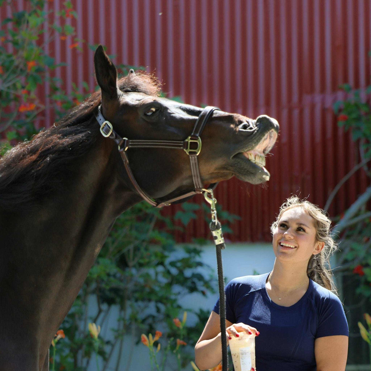 Equitation Tech Short Sleeve Top, equestrian apparel by Dreamers & Schemers