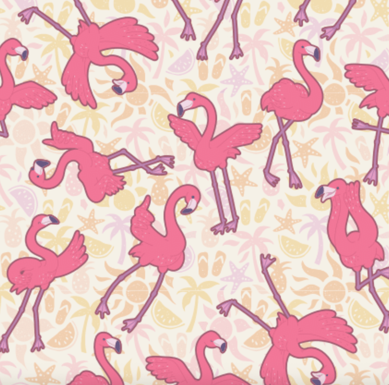 Flamingo Dance Pair black top boot socks with spare sock promotional pack