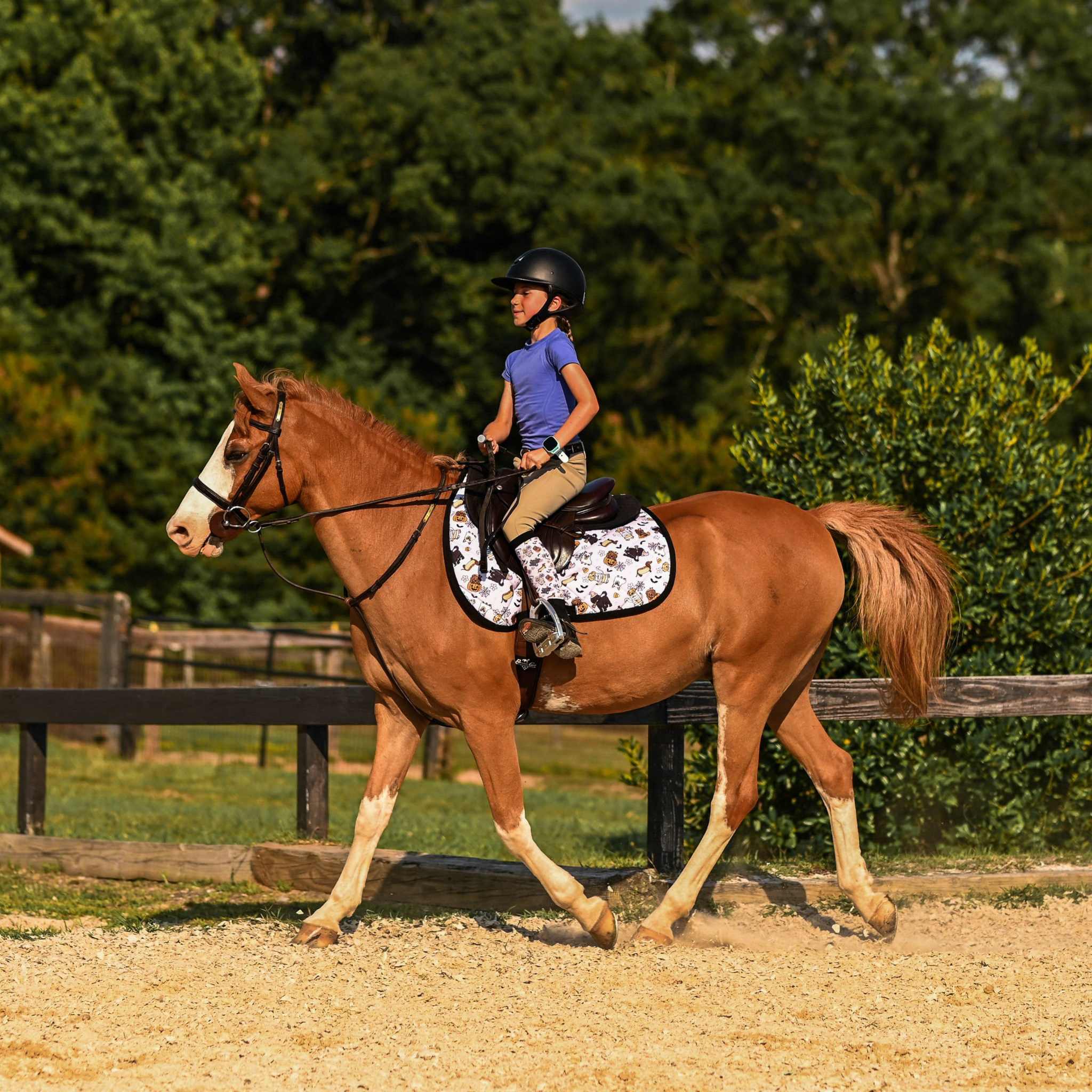 Dreamers & Schemers Ghosts & Growls Saddle Pad – patterned saddle pad, equestrian gift, horseback riding gear from Dreamers & Schemers Saddle Pads