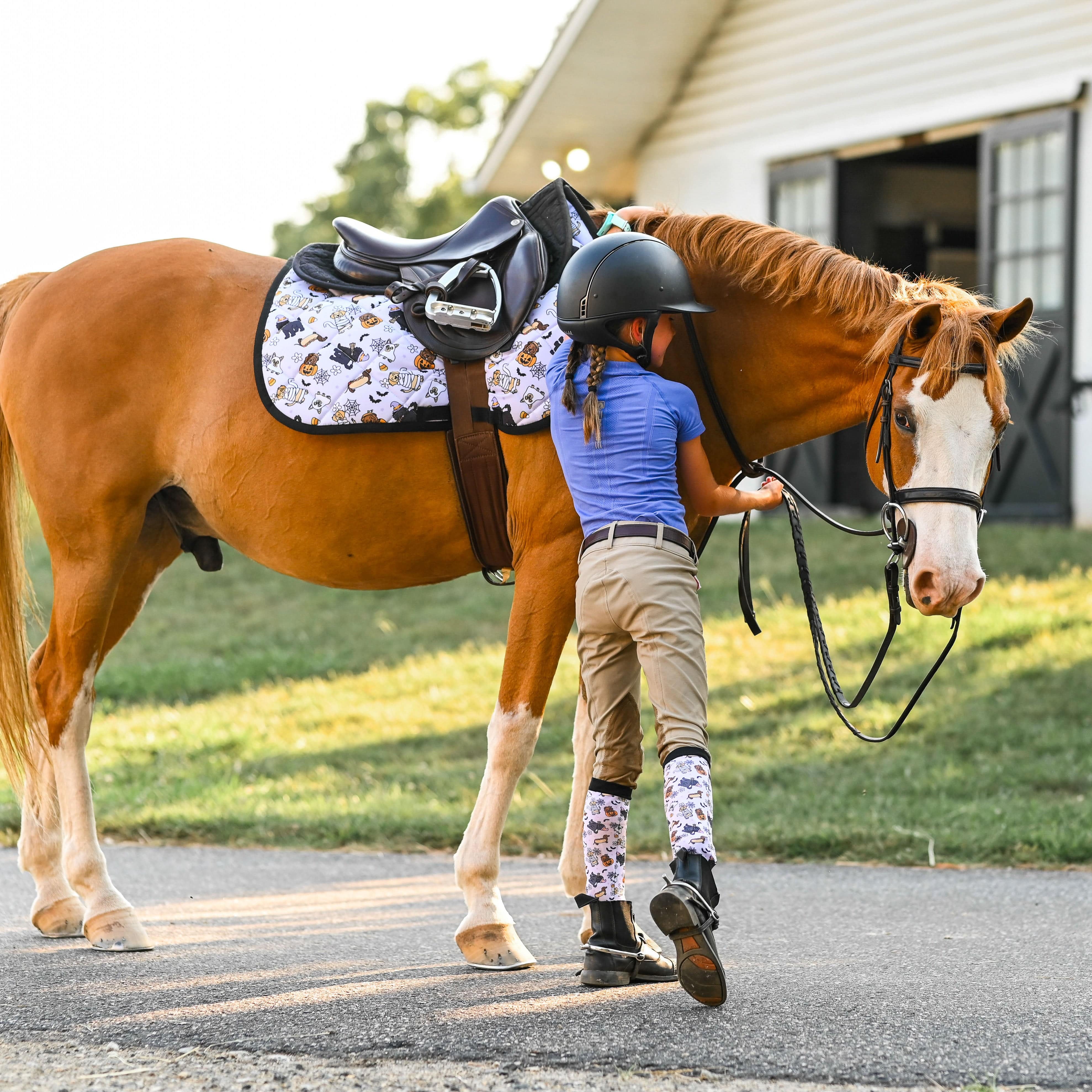 dreamers & schemers Youth Ghosts & Growls Youth Pair & A Spare Socks equestrian boot socks boot socks thin socks riding socks pattern socks tall socks funny socks knee high socks horse socks horse show socks