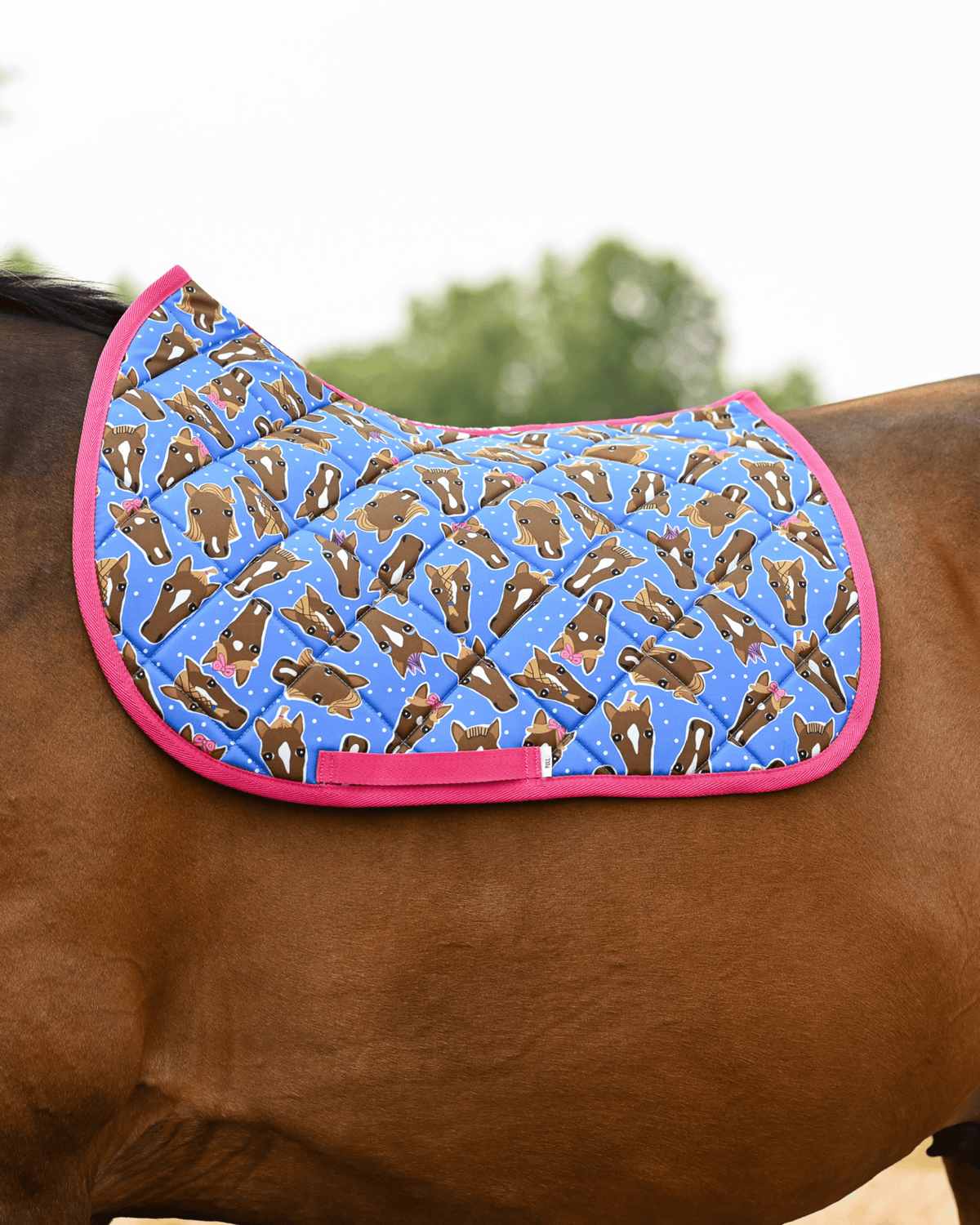 Hairy Styles saddle pad in bright blue with hot pink trim, worn saddle-free on a bay horse outdoors