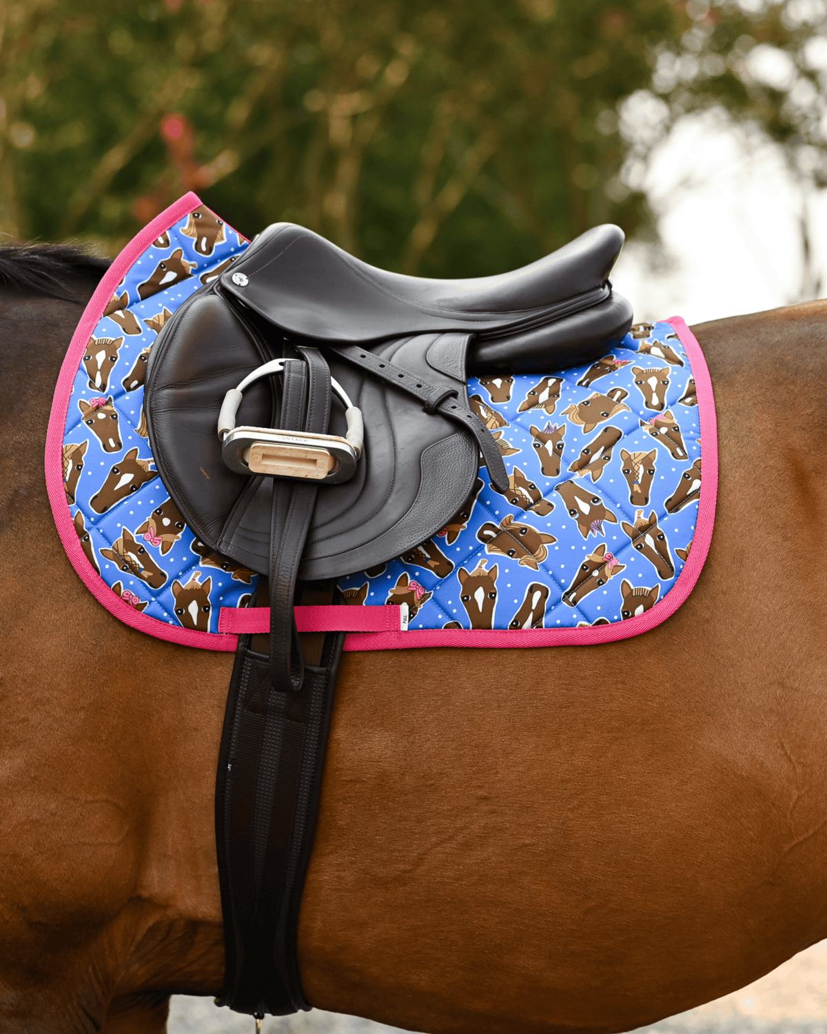 Hairy Styles pad in blue and hot pink under a black close-contact saddle on a bay horse in the sun