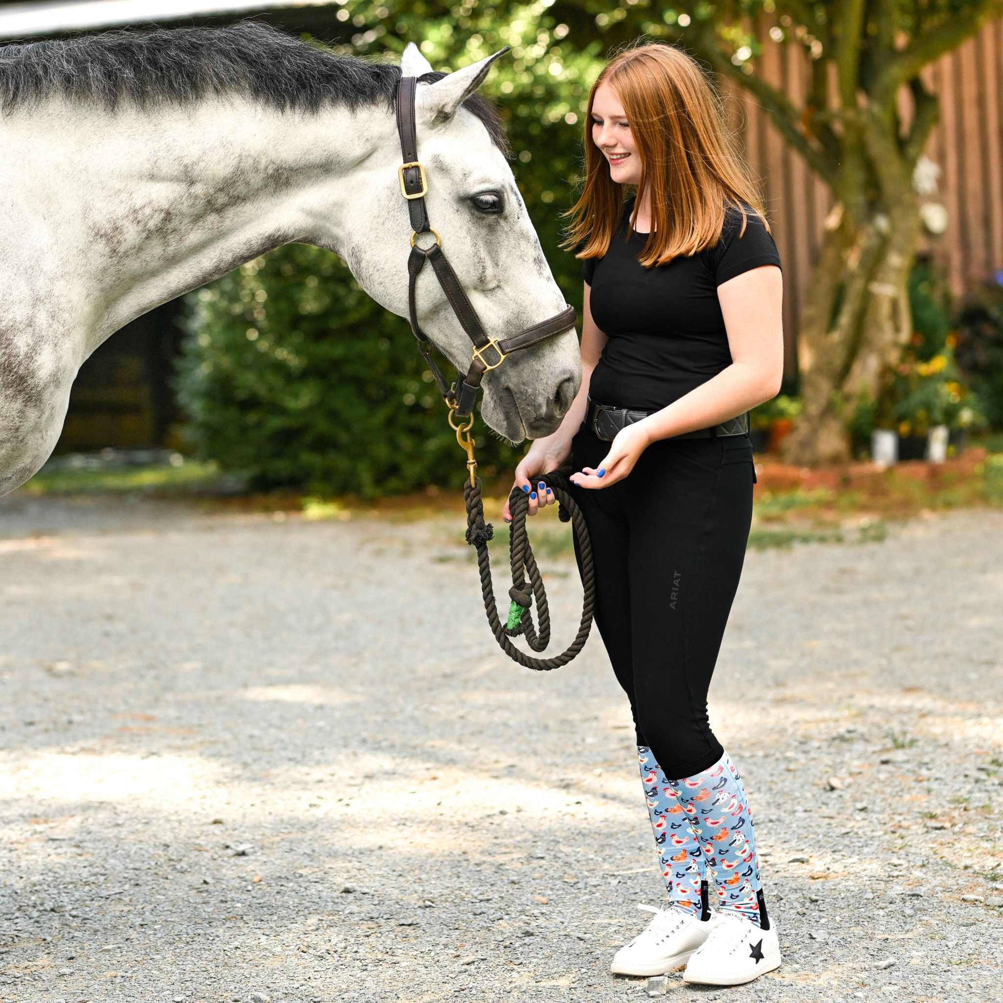 dreamers & schemers Pair & A Spare Hen House Pair & A Spare Socks equestrian boot socks boot socks thin socks riding socks pattern socks tall socks funny socks knee high socks horse socks horse show socks