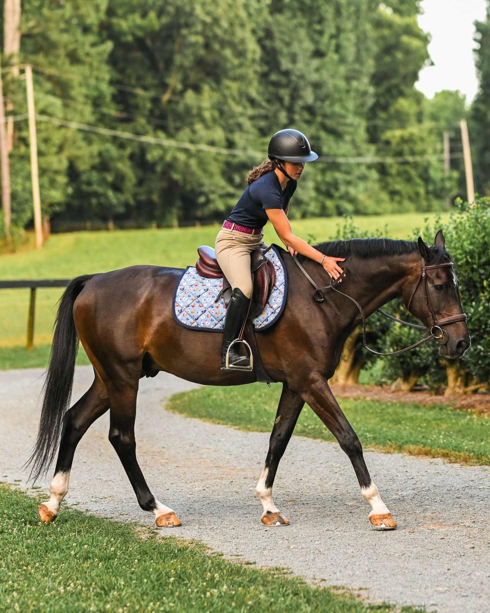 Dreamers & Schemers Hen House Saddle Pad – patterned saddle pad, equestrian gift, horseback riding gear from Dreamers & Schemers Saddle Pads