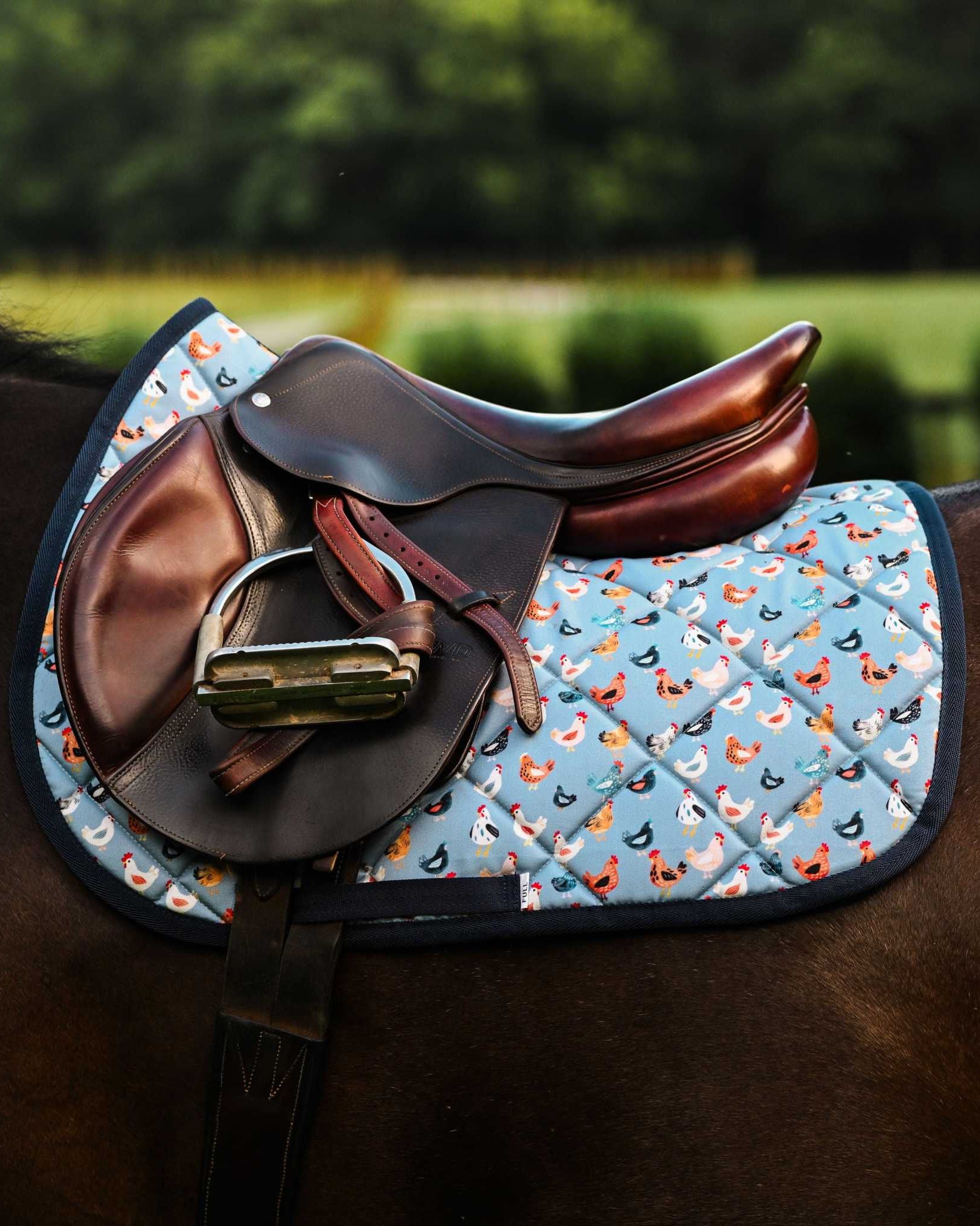 Dreamers & Schemers Hen House Saddle Pad – patterned saddle pad, equestrian gift, horseback riding gear from Dreamers & Schemers Saddle Pads