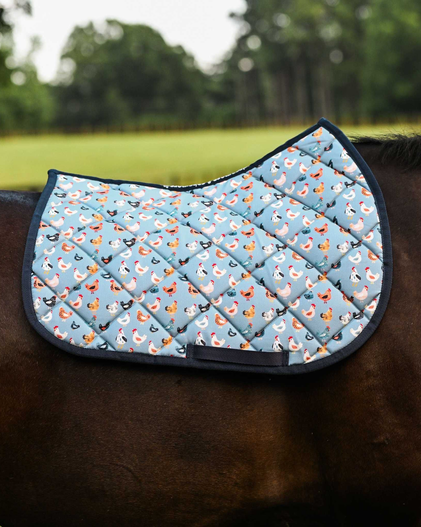 Dreamers & Schemers Hen House Saddle Pad – patterned saddle pad, equestrian gift, horseback riding gear from Dreamers & Schemers Saddle Pads