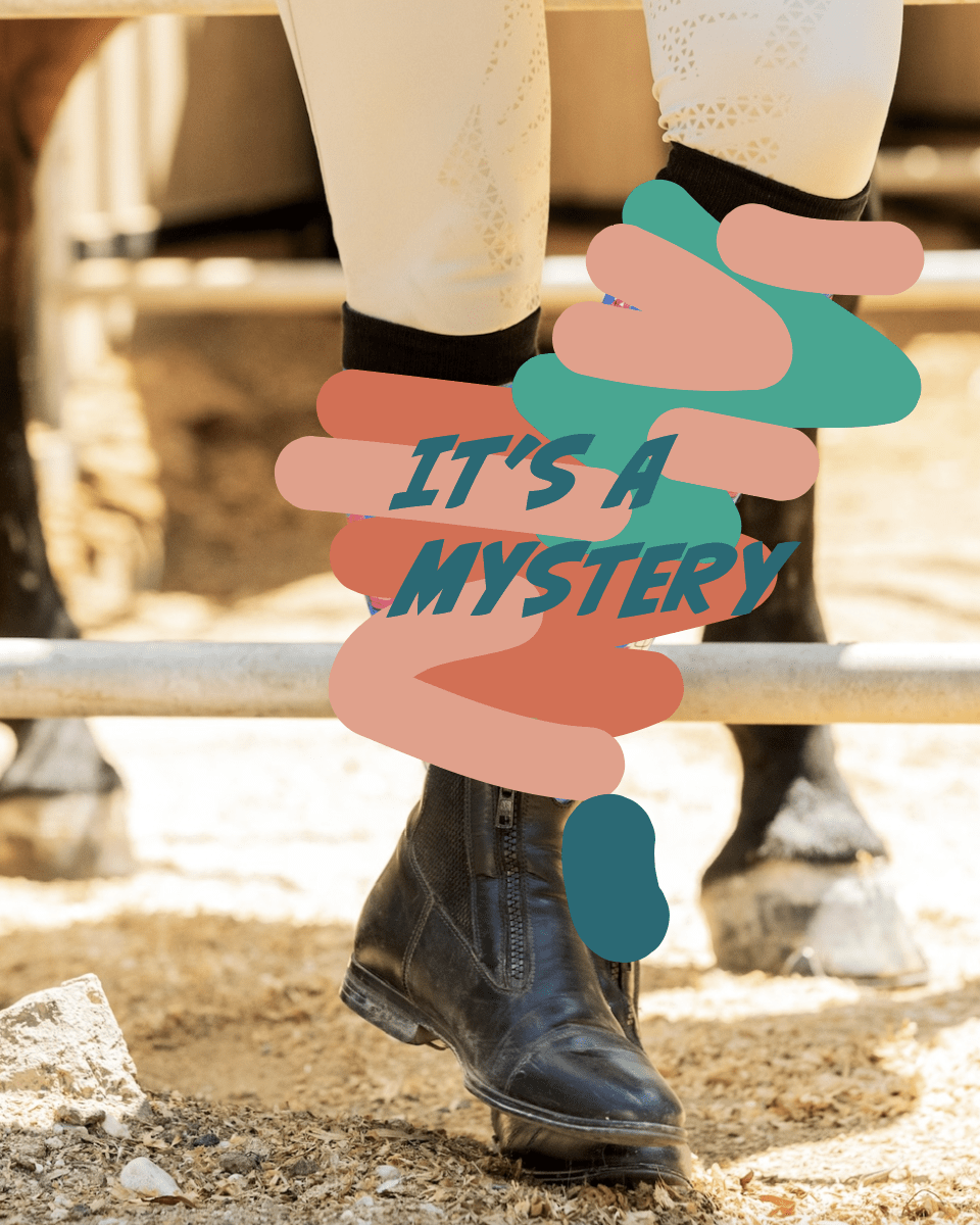 dreamers & schemers Mystery Socks Mystery Socks equestrian boot socks boot socks thin socks riding socks pattern socks tall socks funny socks knee high socks horse socks horse show socks