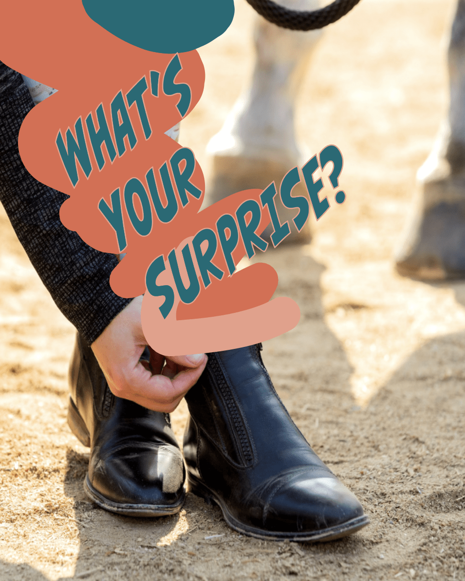 dreamers & schemers Mystery Socks Mystery Socks equestrian boot socks boot socks thin socks riding socks pattern socks tall socks funny socks knee high socks horse socks horse show socks