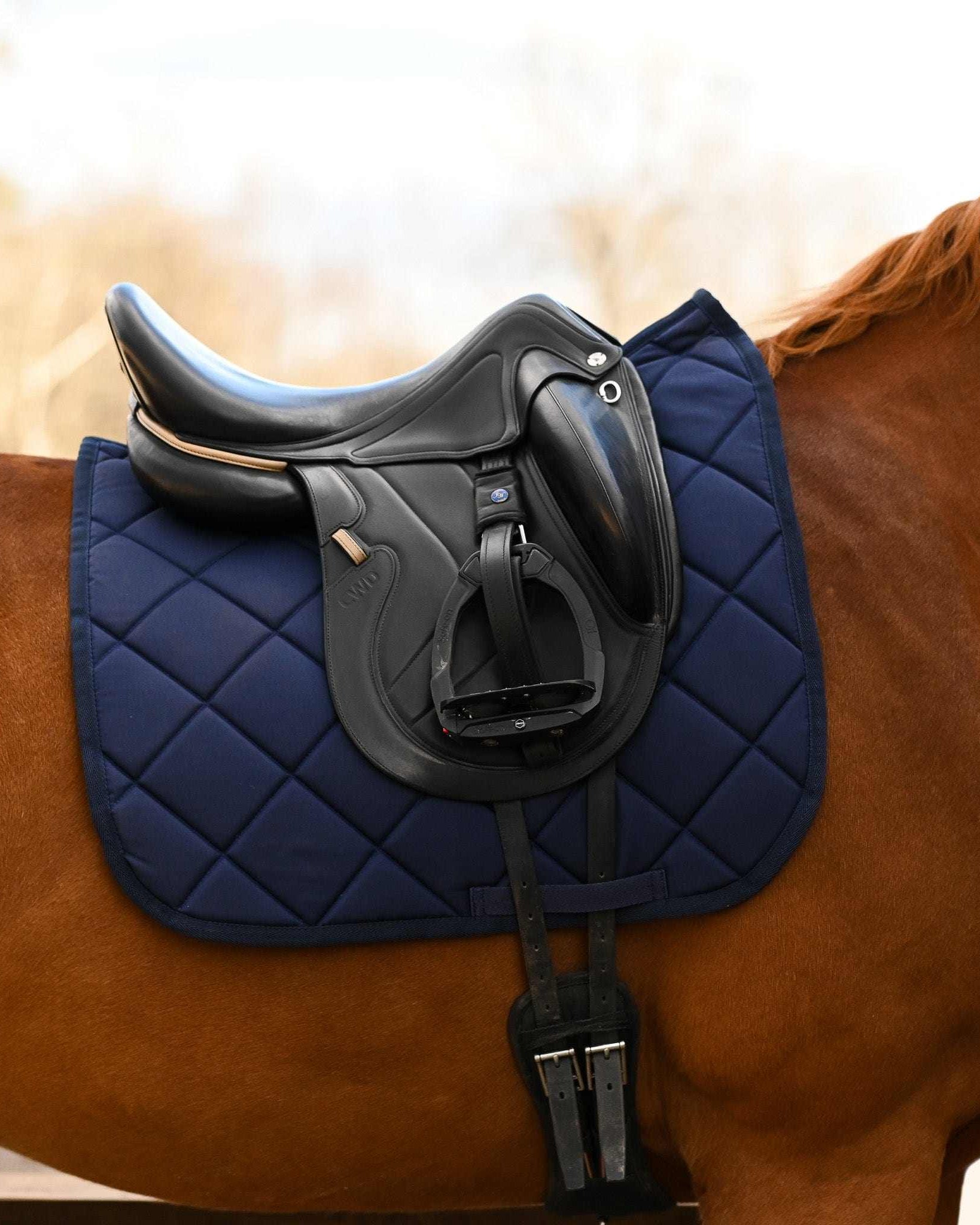 Navy Blue all-purpose saddle pad, additional view, by Dreamers & Schemers