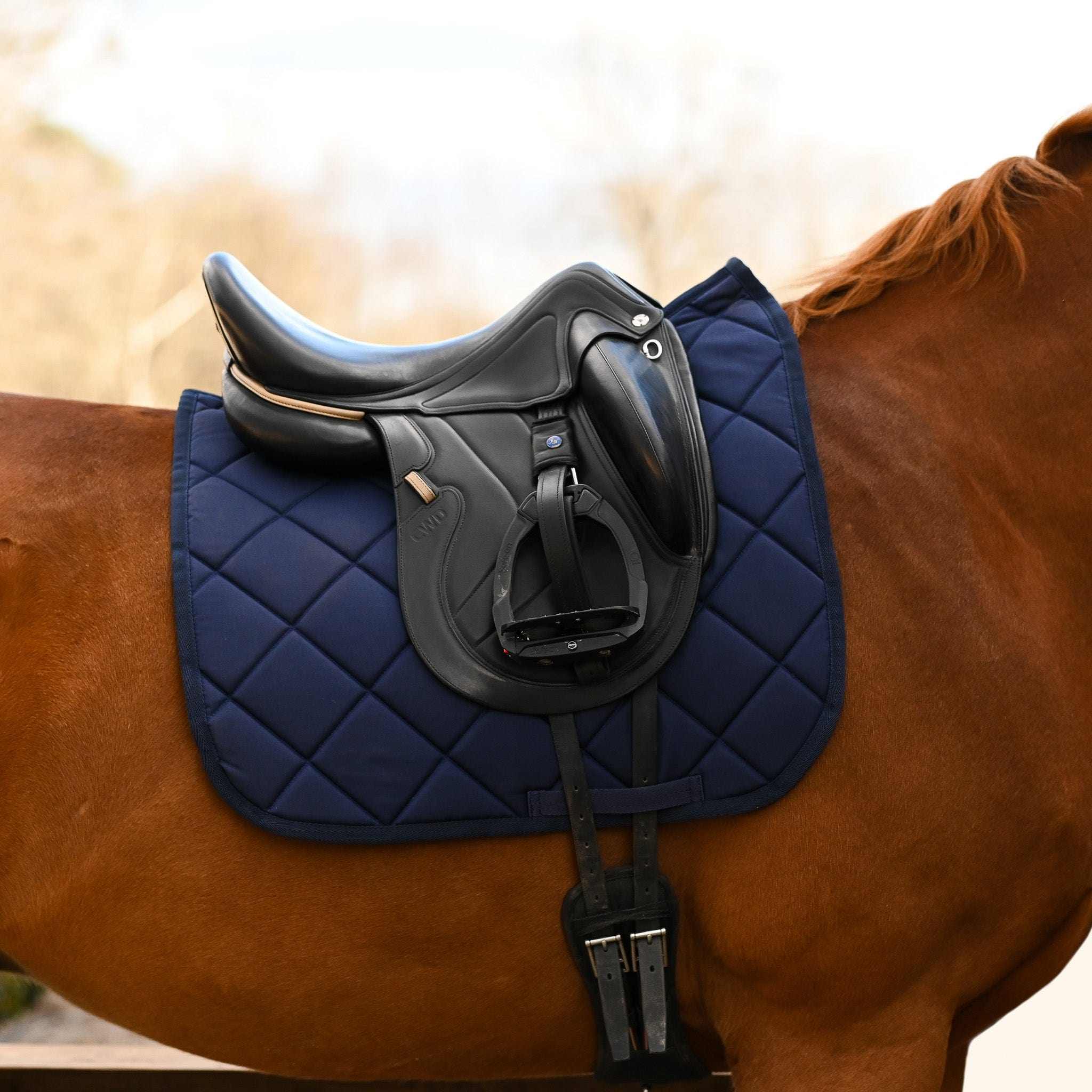 Dreamers & Schemers Navy Blue Saddle Pad – patterned saddle pad, equestrian gift, horseback riding gear from Dreamers & Schemers Saddle Pads