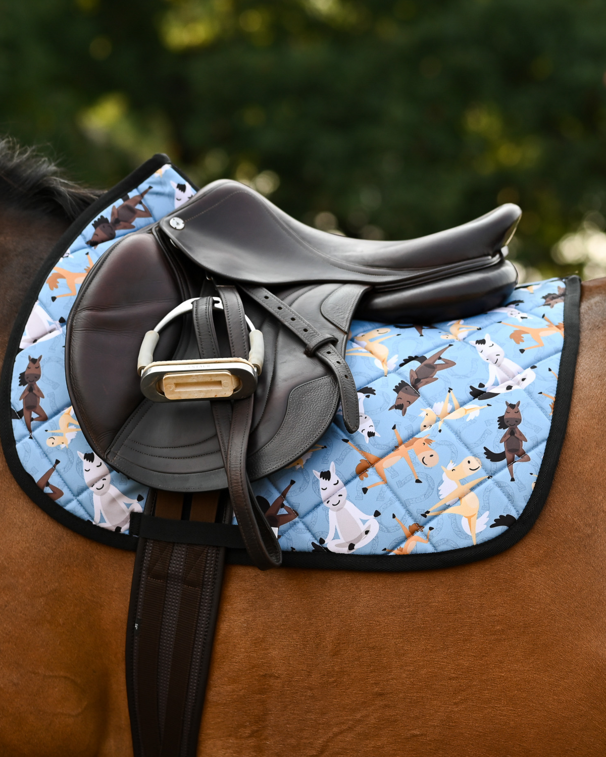 Denim blue Pony Pilates pad under a brown close-contact saddle, cream and tan horses mid-stretch