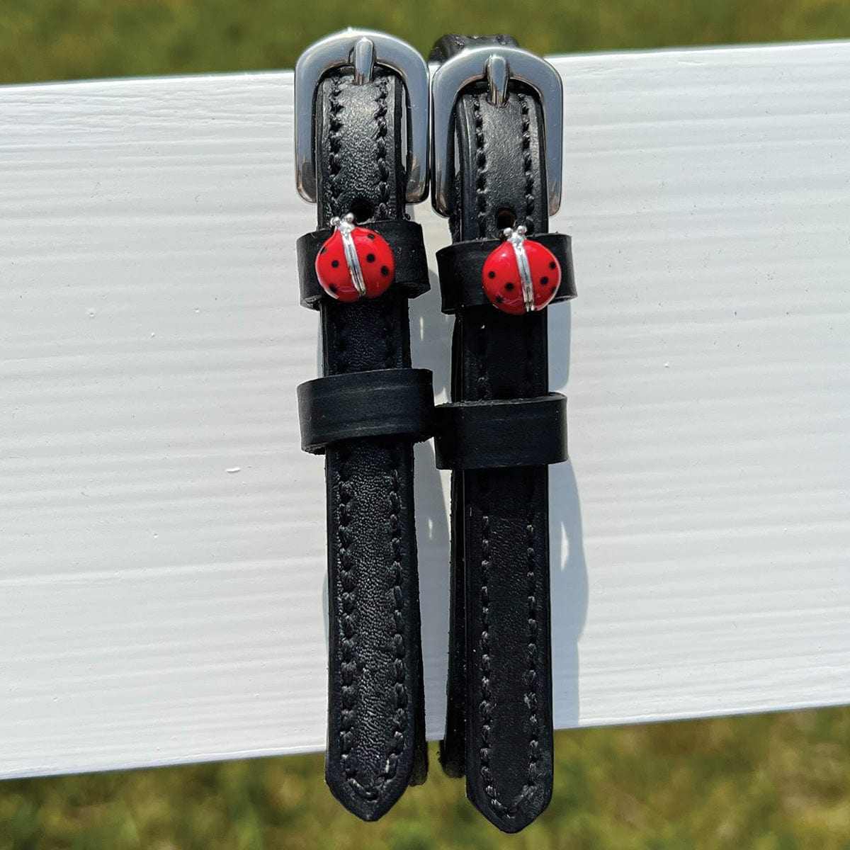 ManeJane Red Lady Bug Spur Straps Spur Straps — black leather, non-stretch, hero image for English riders.