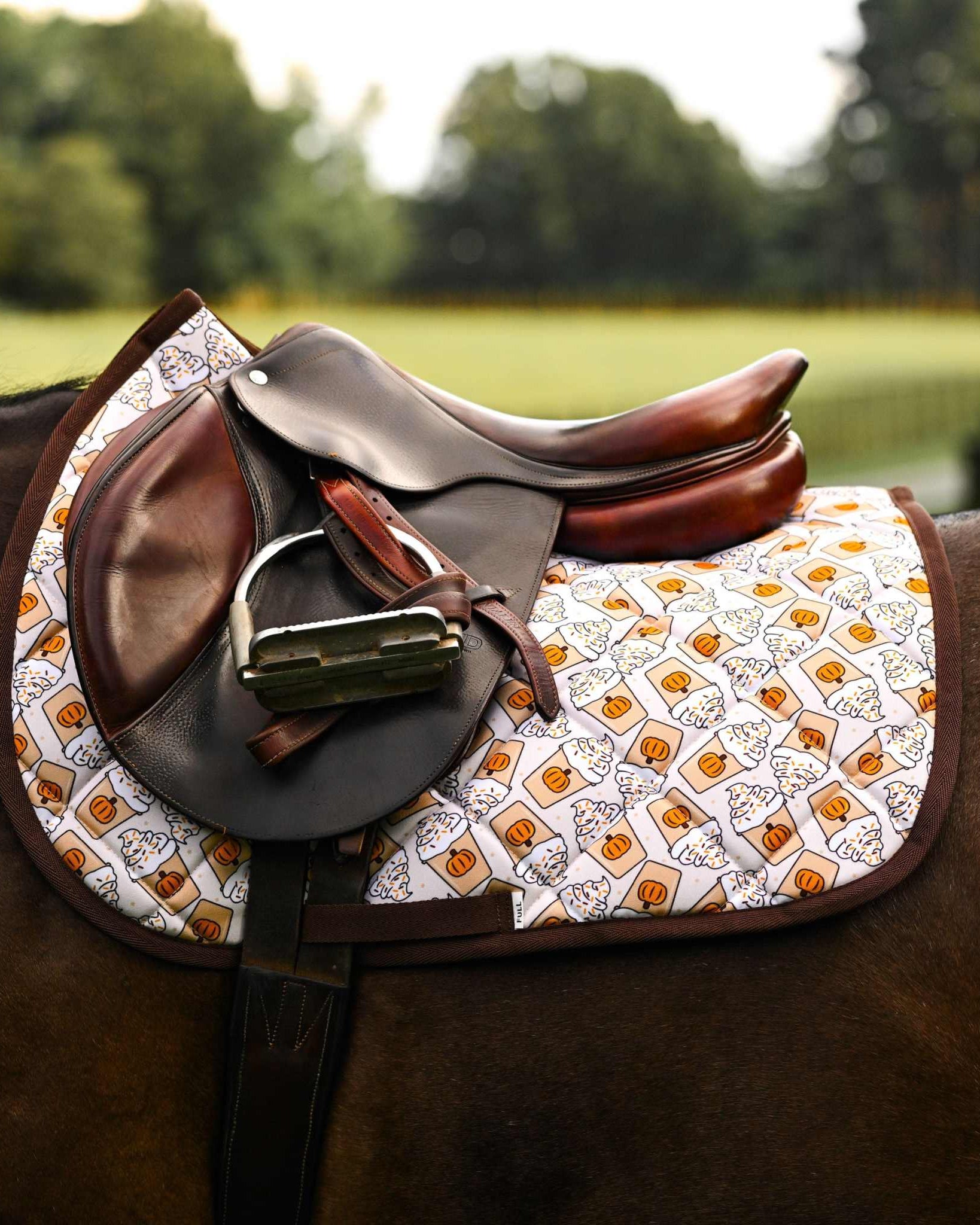 Dreamers & Schemers Spice Spice Baby Saddle Pad – patterned saddle pad, equestrian gift, horseback riding gear from Dreamers & Schemers Saddle Pads