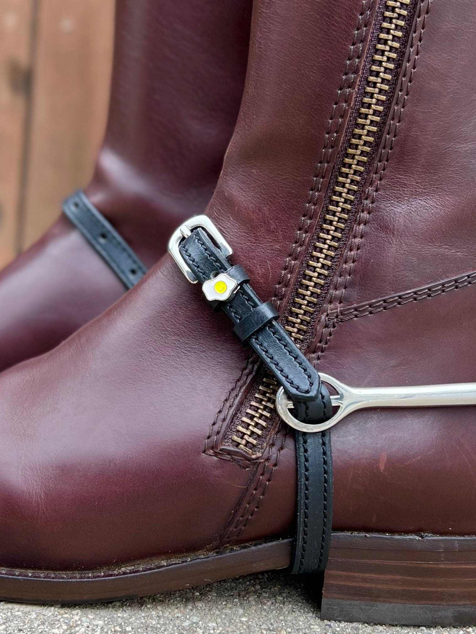 ManeJane Spur Straps Sunny Side Up Egg Spur Straps equestrian boot socks boot socks thin socks riding socks pattern socks tall socks funny socks knee high socks horse socks horse show socks