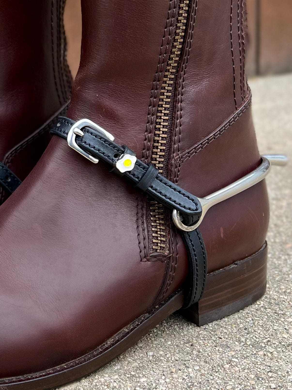 ManeJane Spur Straps Sunny Side Up Egg Spur Straps equestrian boot socks boot socks thin socks riding socks pattern socks tall socks funny socks knee high socks horse socks horse show socks