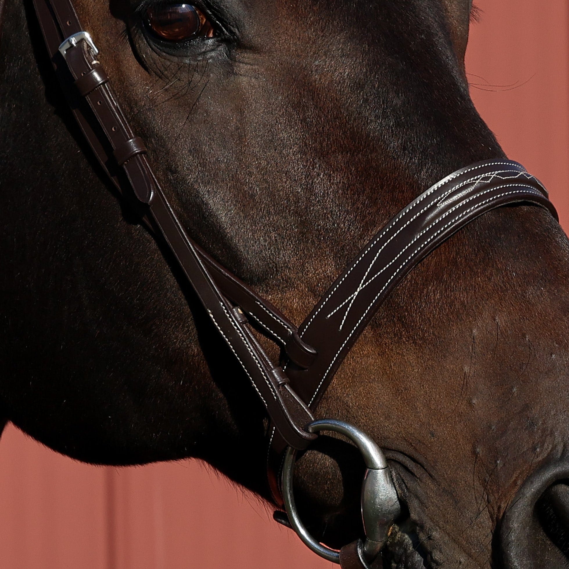 The TackHack For the Horse The Perfect Bridle with Plain Laced Reins equestrian boot socks boot socks thin socks riding socks pattern socks tall socks funny socks knee high socks horse socks horse show socks