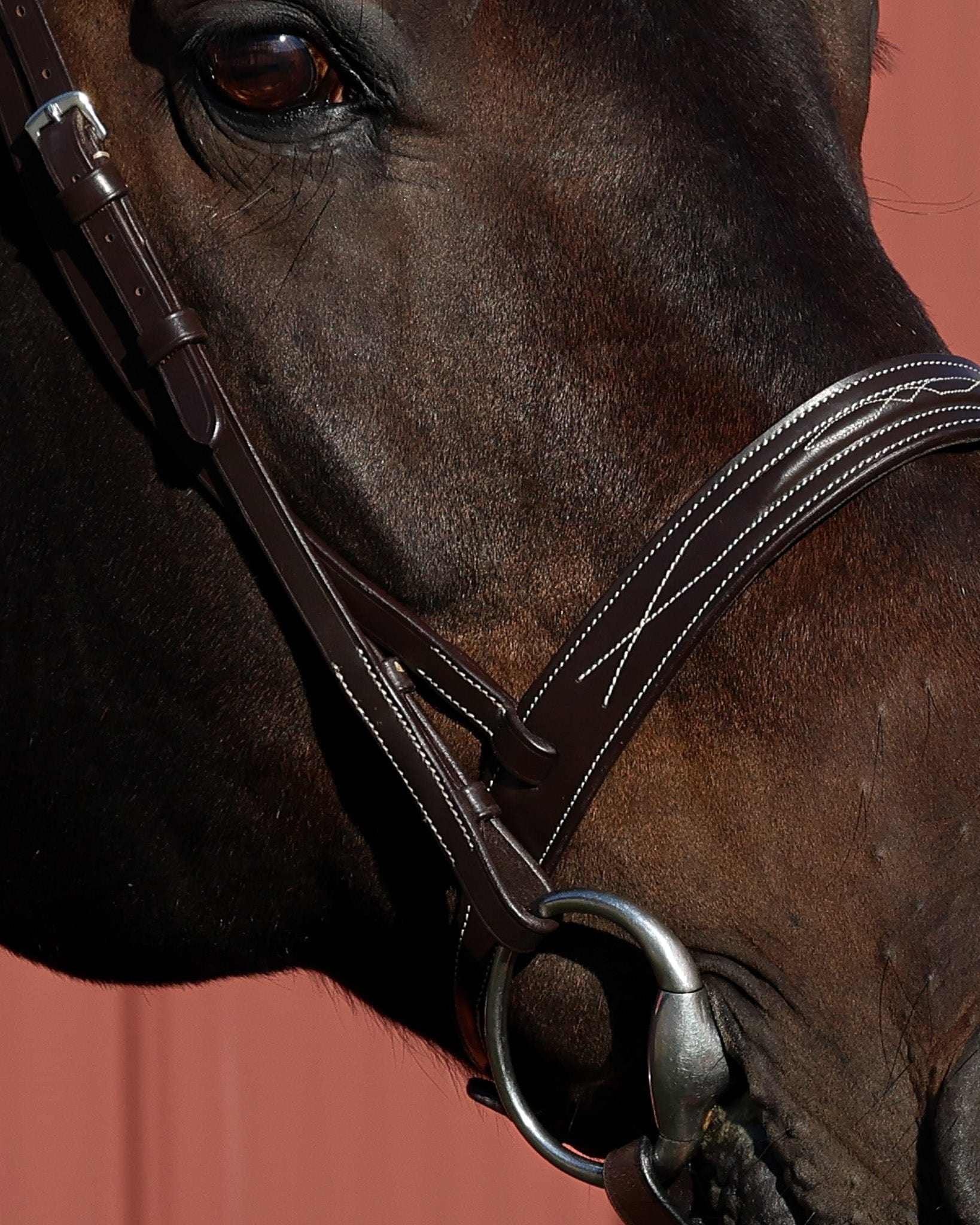 The TackHack For the Horse The Perfect Bridle with Plain Laced Reins equestrian boot socks boot socks thin socks riding socks pattern socks tall socks funny socks knee high socks horse socks horse show socks