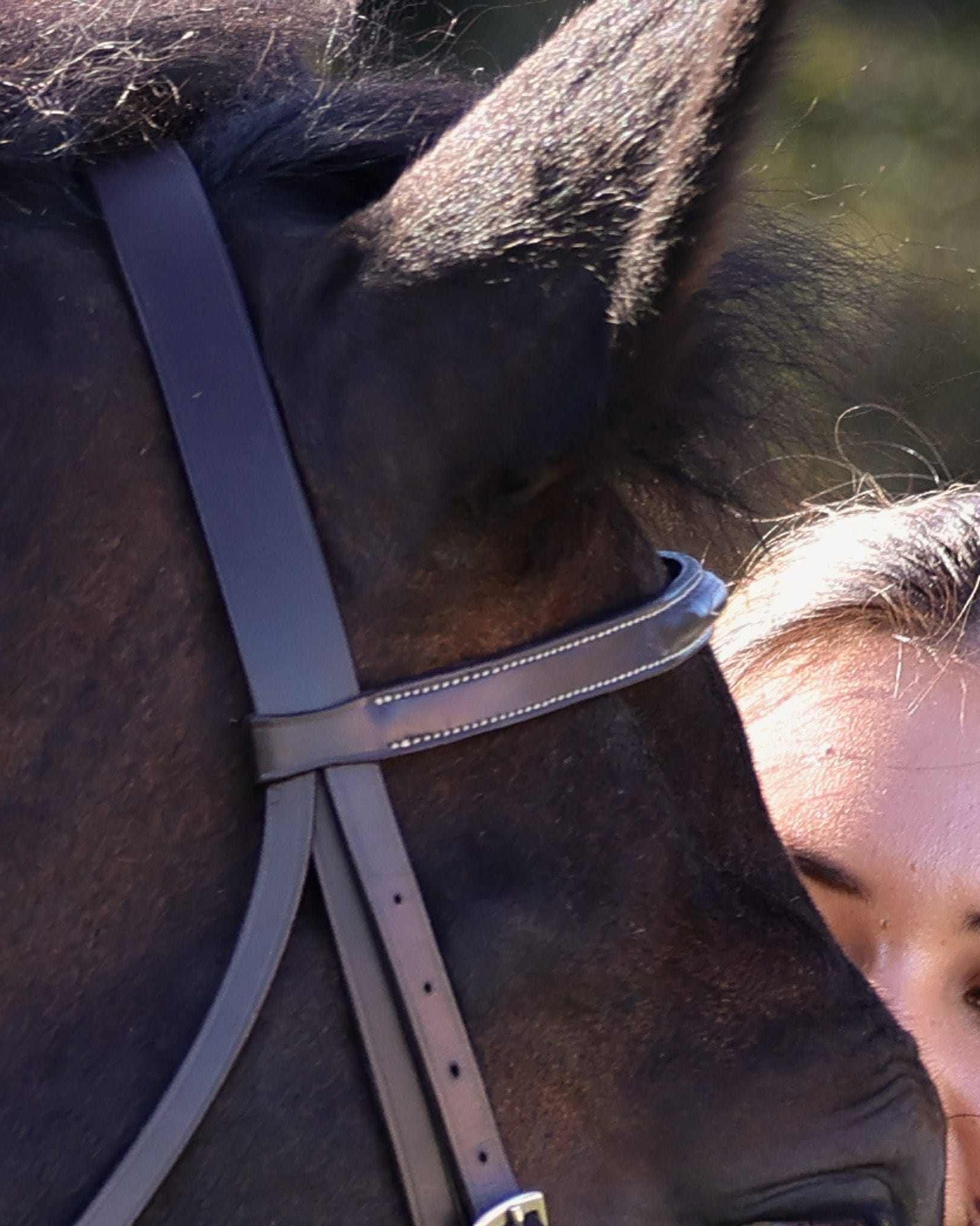 The TackHack For the Horse The Perfect Bridle with Plain Laced Reins equestrian boot socks boot socks thin socks riding socks pattern socks tall socks funny socks knee high socks horse socks horse show socks