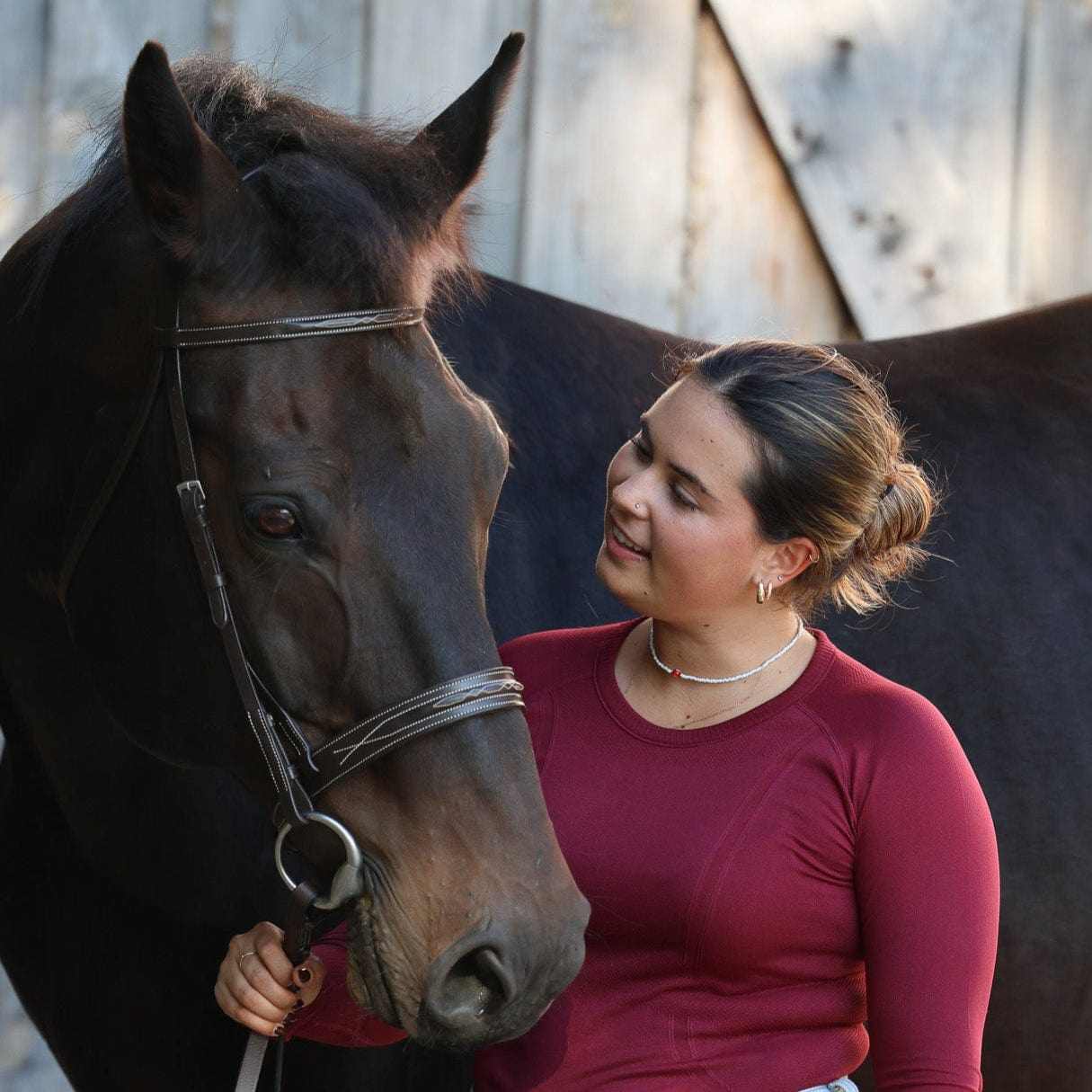The TackHack For the Horse The Perfect Bridle with Plain Laced Reins equestrian boot socks boot socks thin socks riding socks pattern socks tall socks funny socks knee high socks horse socks horse show socks