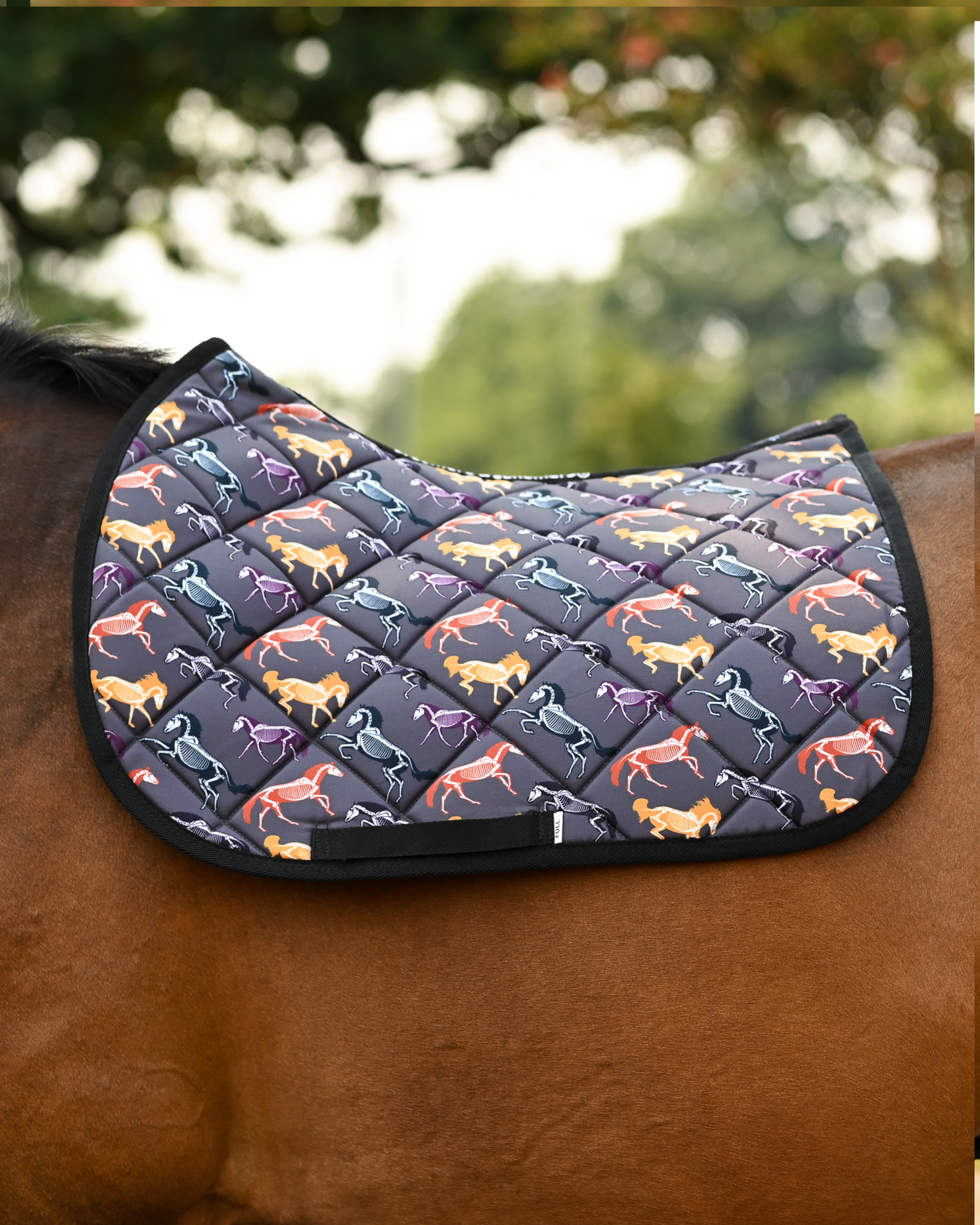 Horse Skeletons saddle pad in grey with orange, purple and red skeletons, shown without a saddle