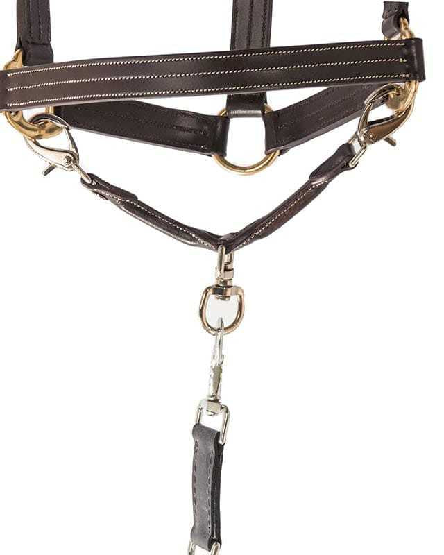 The TackHack For the Horse Havana The TackHack Leather Lunge Strap equestrian boot socks boot socks thin socks riding socks pattern socks tall socks funny socks knee high socks horse socks horse show socks