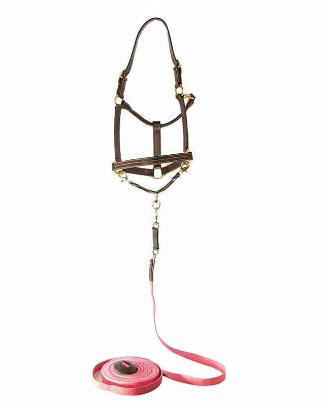 The TackHack For the Horse Havana The TackHack Leather Lunge Strap equestrian boot socks boot socks thin socks riding socks pattern socks tall socks funny socks knee high socks horse socks horse show socks