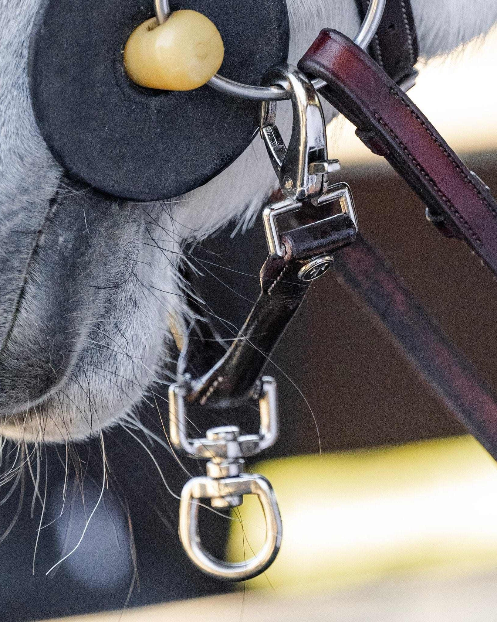 The TackHack For the Horse Havana The TackHack Leather Lunge Strap equestrian boot socks boot socks thin socks riding socks pattern socks tall socks funny socks knee high socks horse socks horse show socks