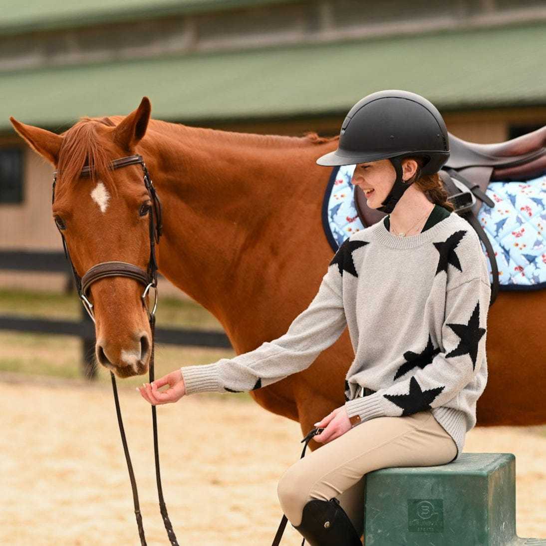 Dreamers & Schemers Under The Sea Pony Size Saddle Pad – patterned saddle pad, equestrian gift, horseback riding gear from Dreamers & Schemers Saddle Pads
