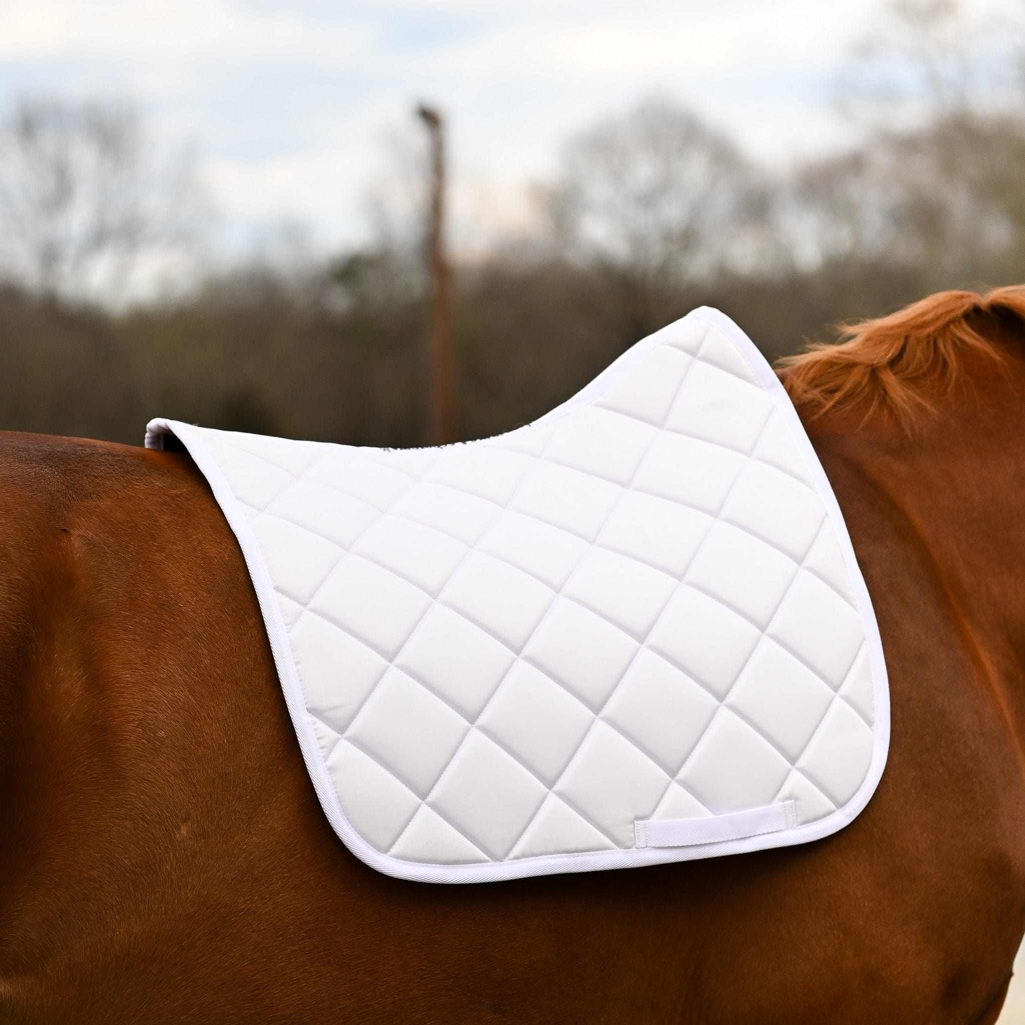 Dreamers & Schemers White Saddle Pad – patterned saddle pad, equestrian gift, horseback riding gear from Dreamers & Schemers Saddle Pads