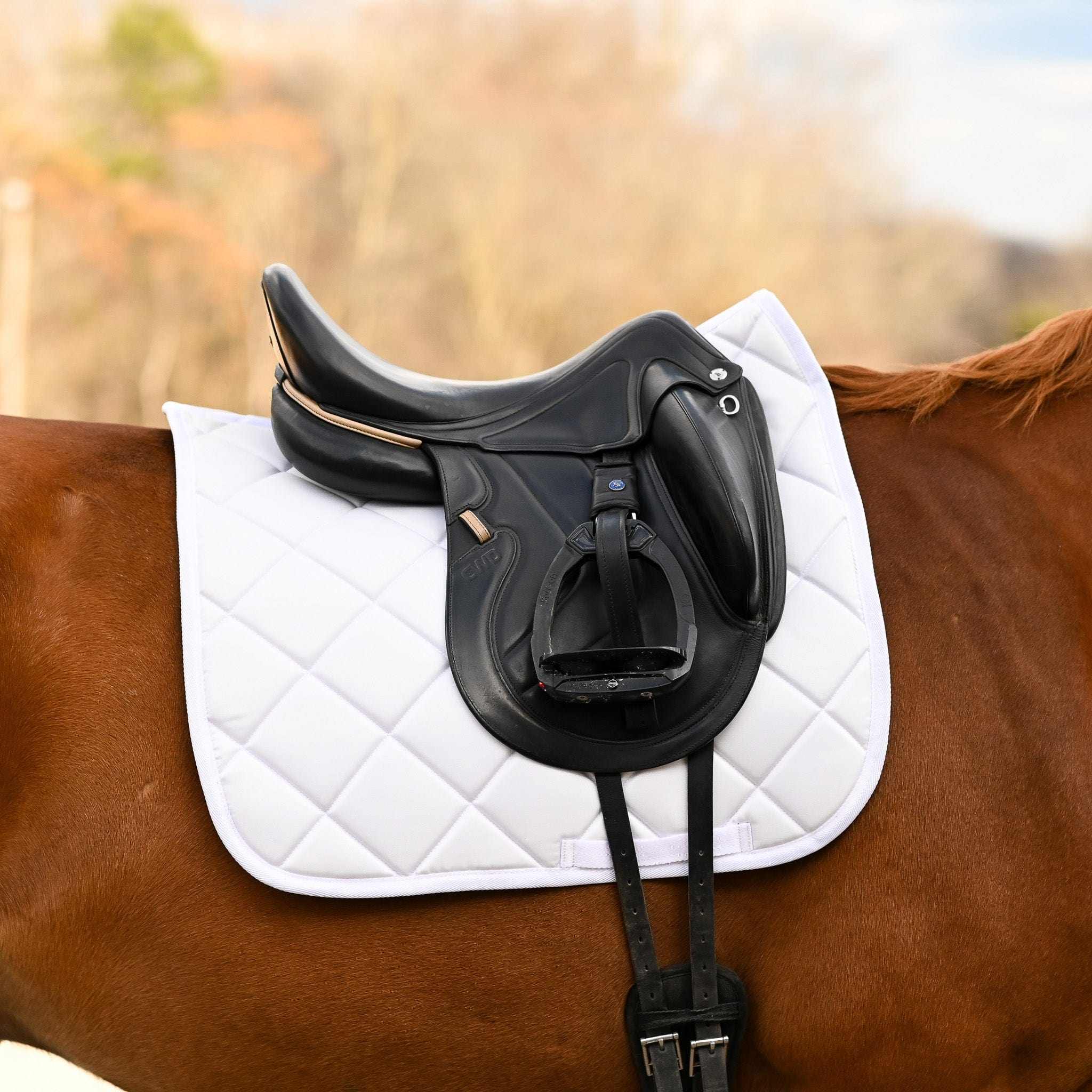 Dreamers & Schemers White Saddle Pad – patterned saddle pad, equestrian gift, horseback riding gear from Dreamers & Schemers Saddle Pads