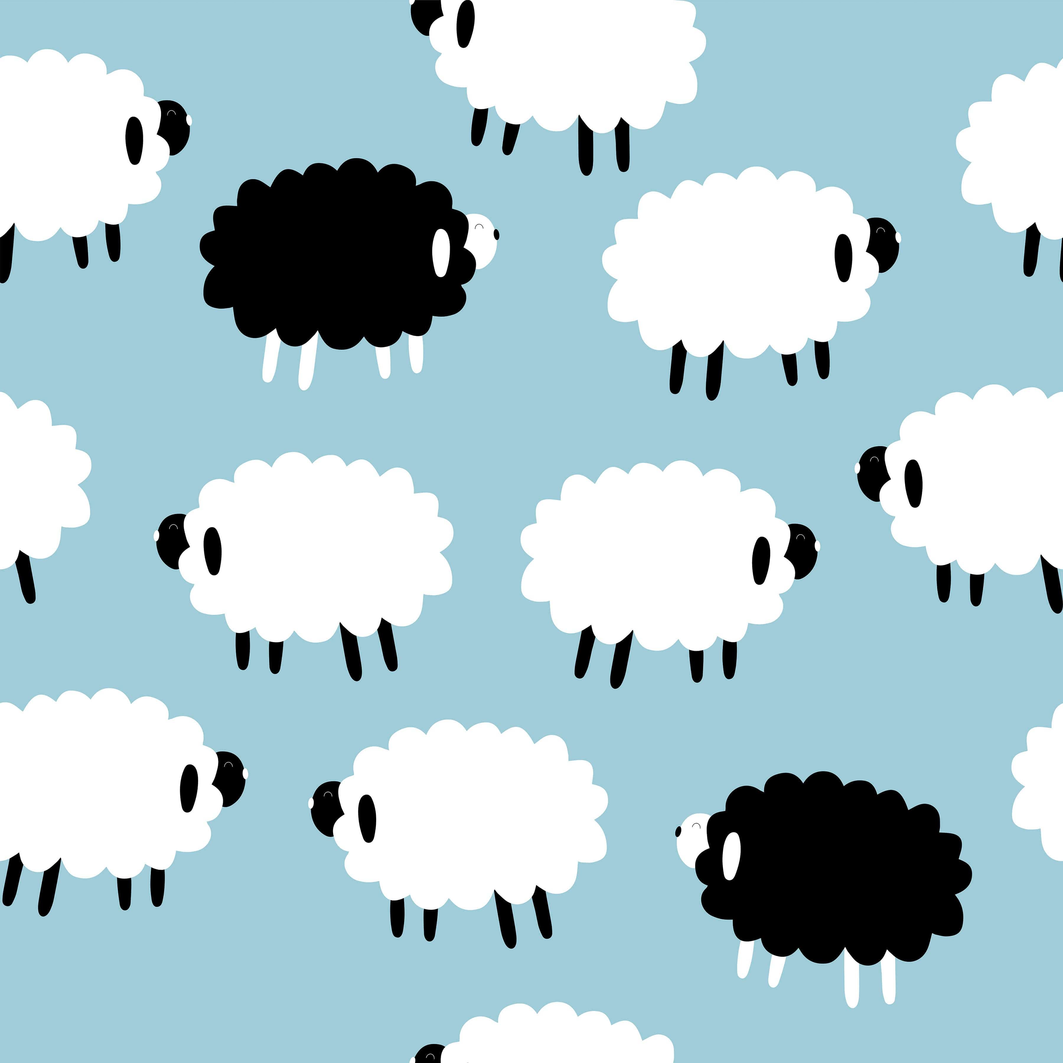 dreamers & schemers Pair & A Spare Who's a Black Sheep Pair & A Spare Socks equestrian boot socks boot socks thin socks riding socks pattern socks tall socks funny socks knee high socks horse socks horse show socks