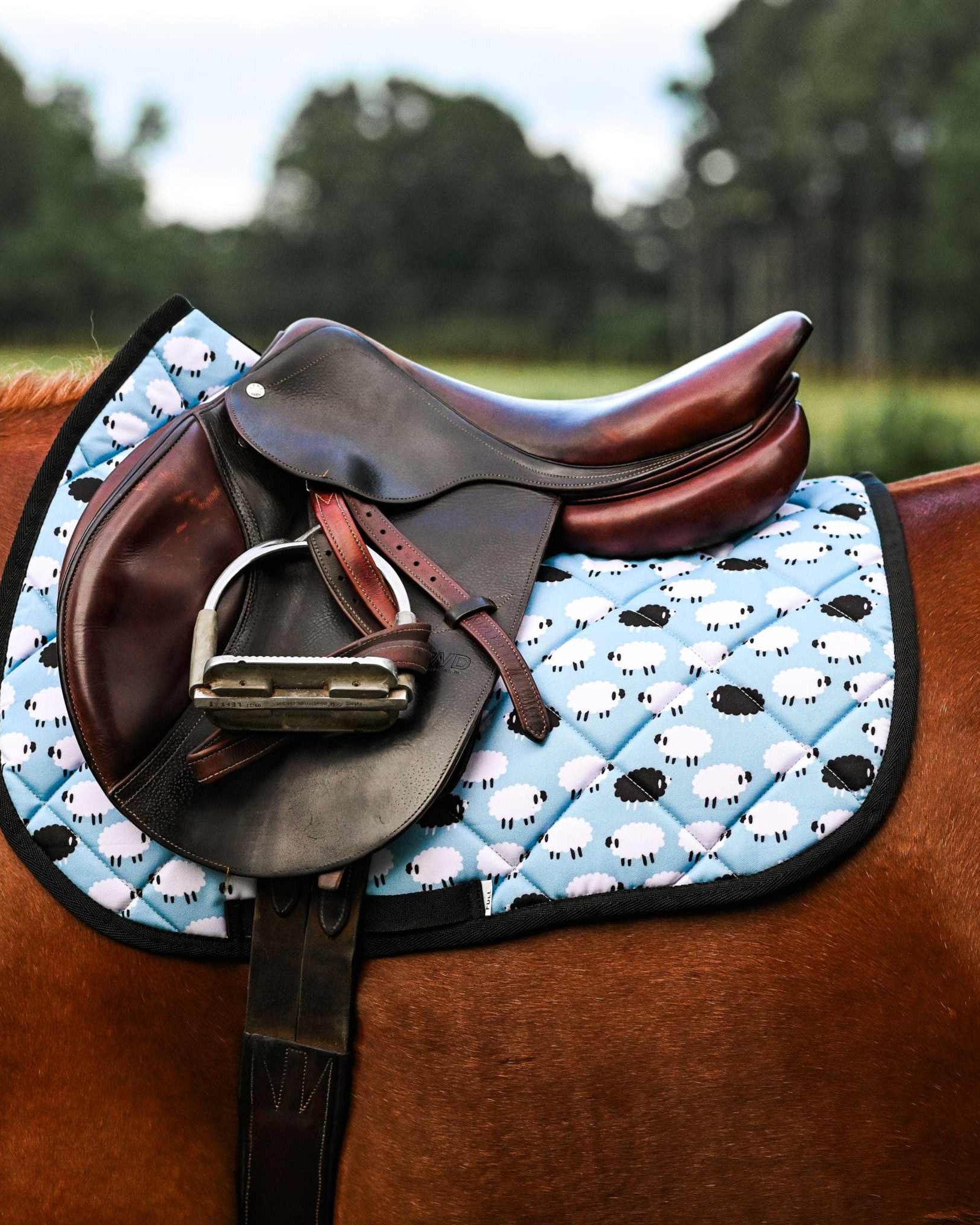 Dreamers & Schemers Who's a Black Sheep Saddle Pad – patterned saddle pad, equestrian gift, horseback riding gear from Dreamers & Schemers Saddle Pads