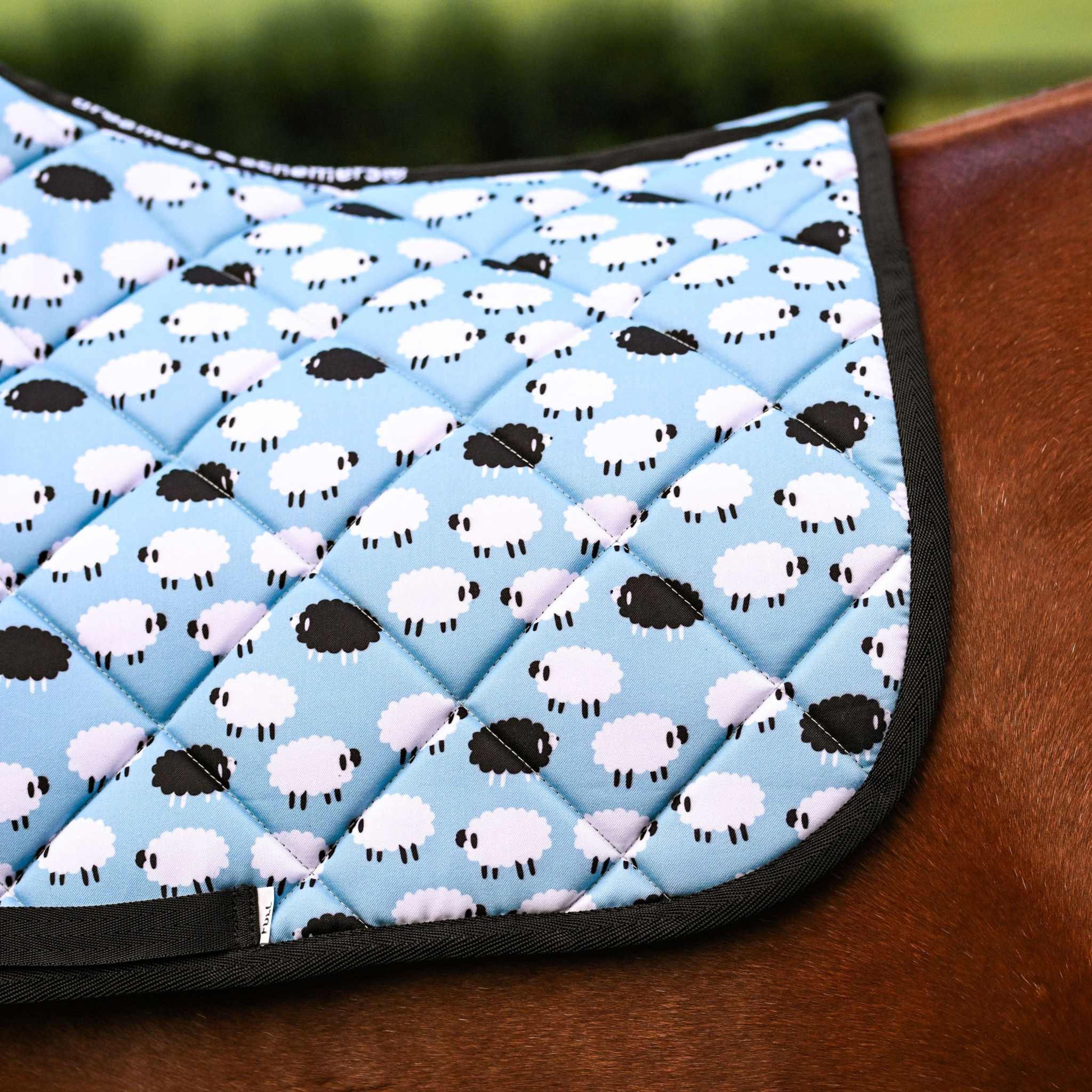 Dreamers & Schemers Who's a Black Sheep Saddle Pad – patterned saddle pad, equestrian gift, horseback riding gear from Dreamers & Schemers Saddle Pads