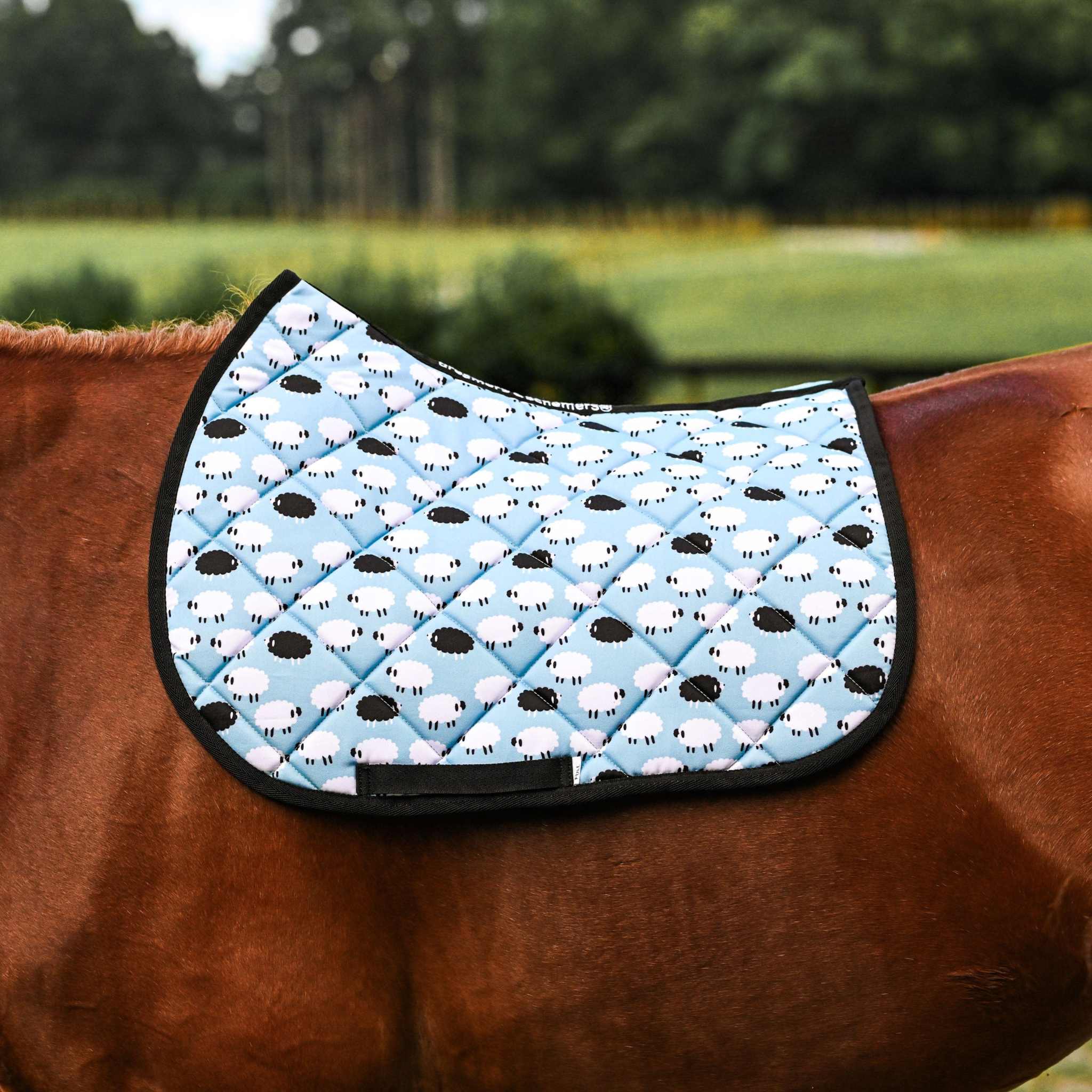 Dreamers & Schemers Who's a Black Sheep Saddle Pad – patterned saddle pad, equestrian gift, horseback riding gear from Dreamers & Schemers Saddle Pads