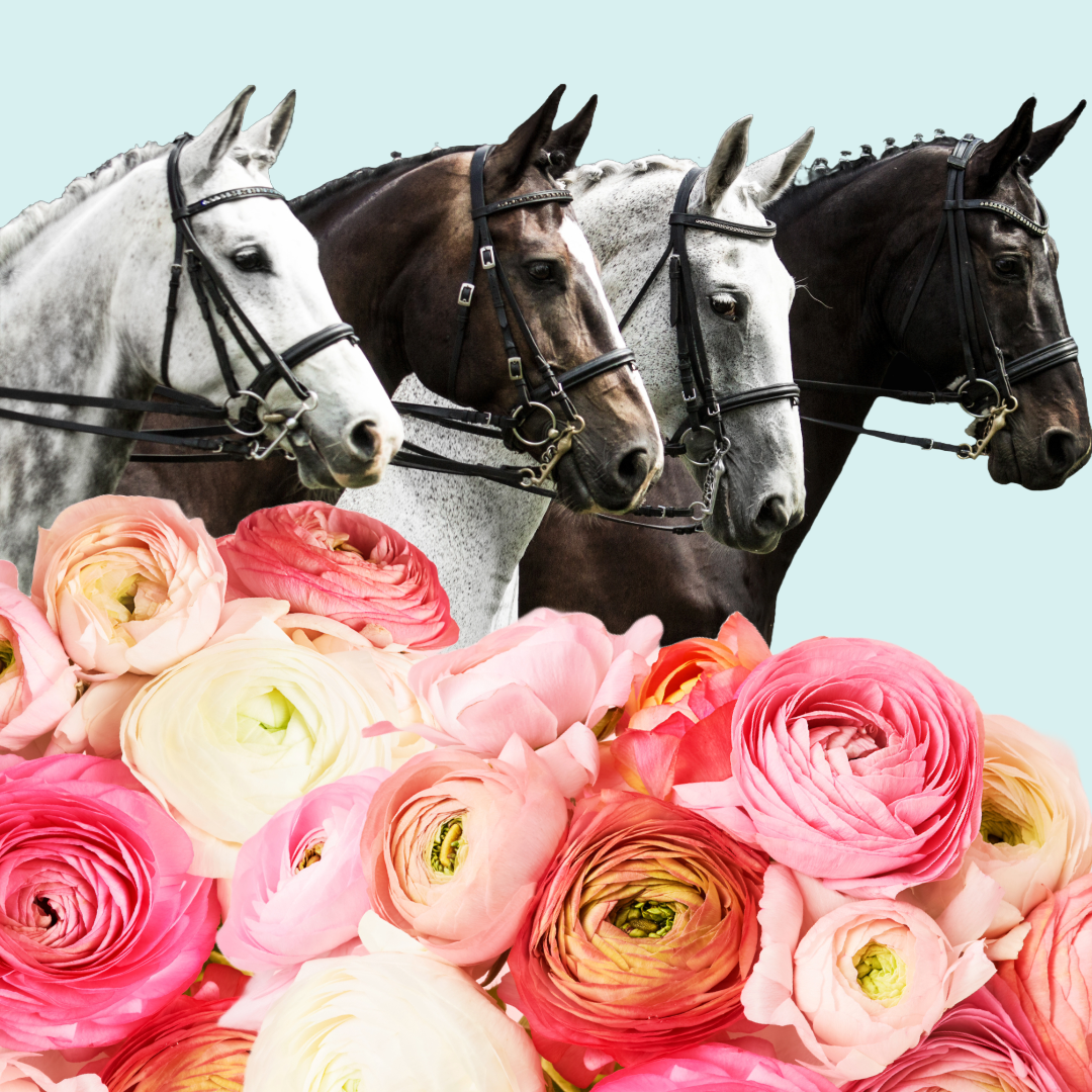 May 17-19th, 2024 Horse -O-Scope