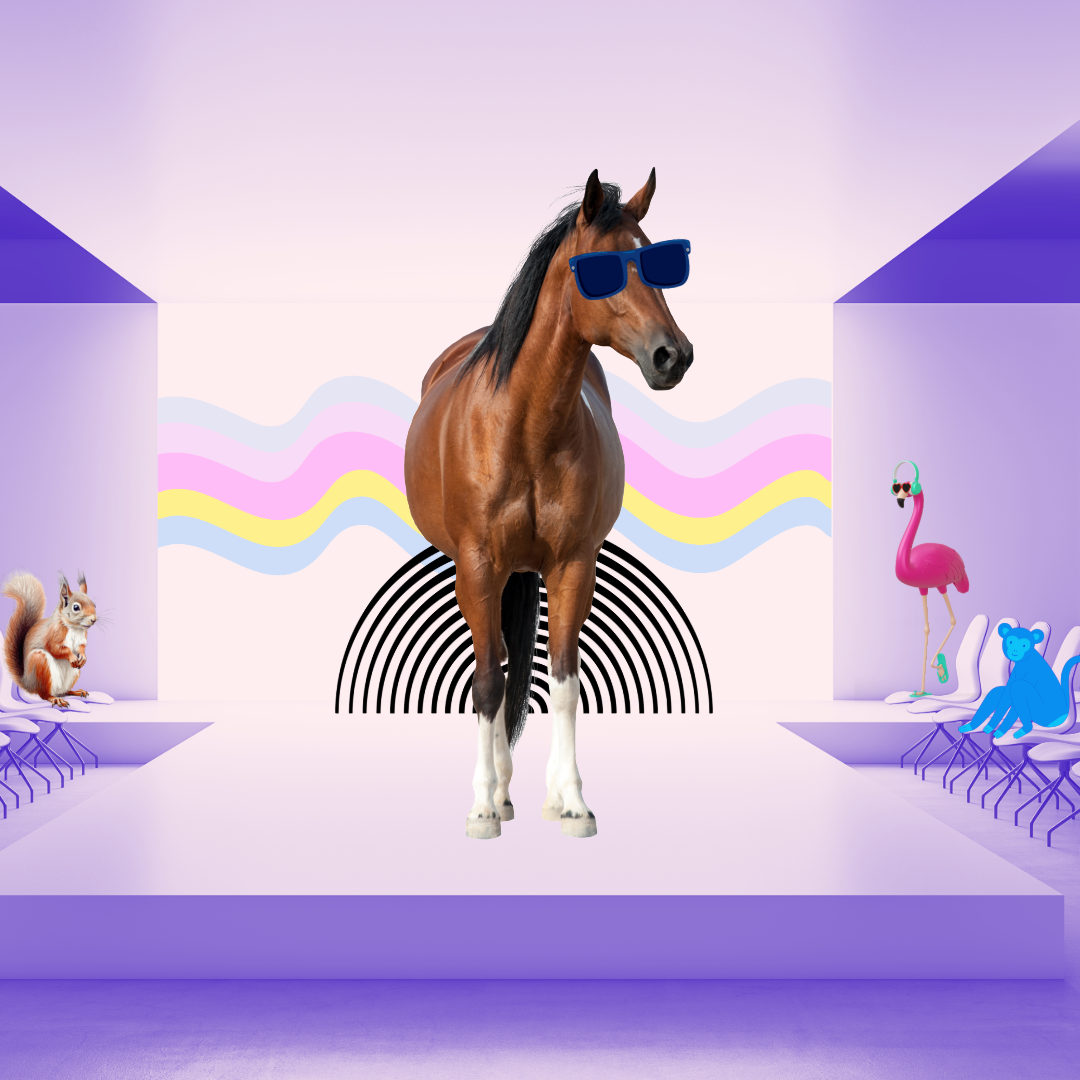d&s, equestrian horoscope, boot socks, equestrian gifts, horseback riding