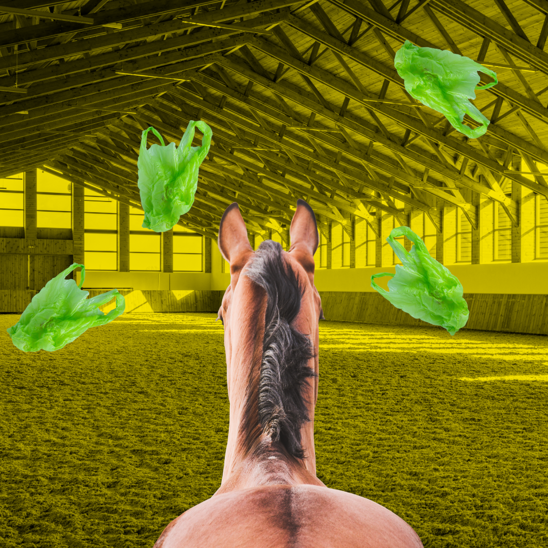 dreamers & schemers, horse show, boot socks, horses, equestrian accessories, horse socks, spur straps, equestrian gifts