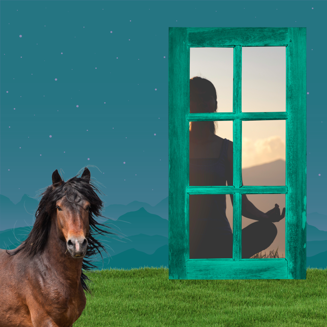 April 23rd, 2024 Horse-O-Scope