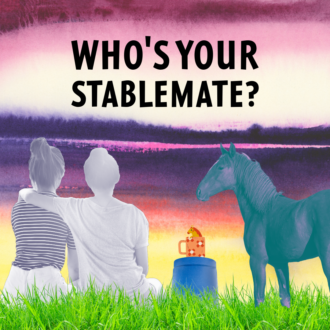dreamers and schemers, horseback riding, horses, riding lessons, equestrian gifts, horoscope, equestrian horoscope