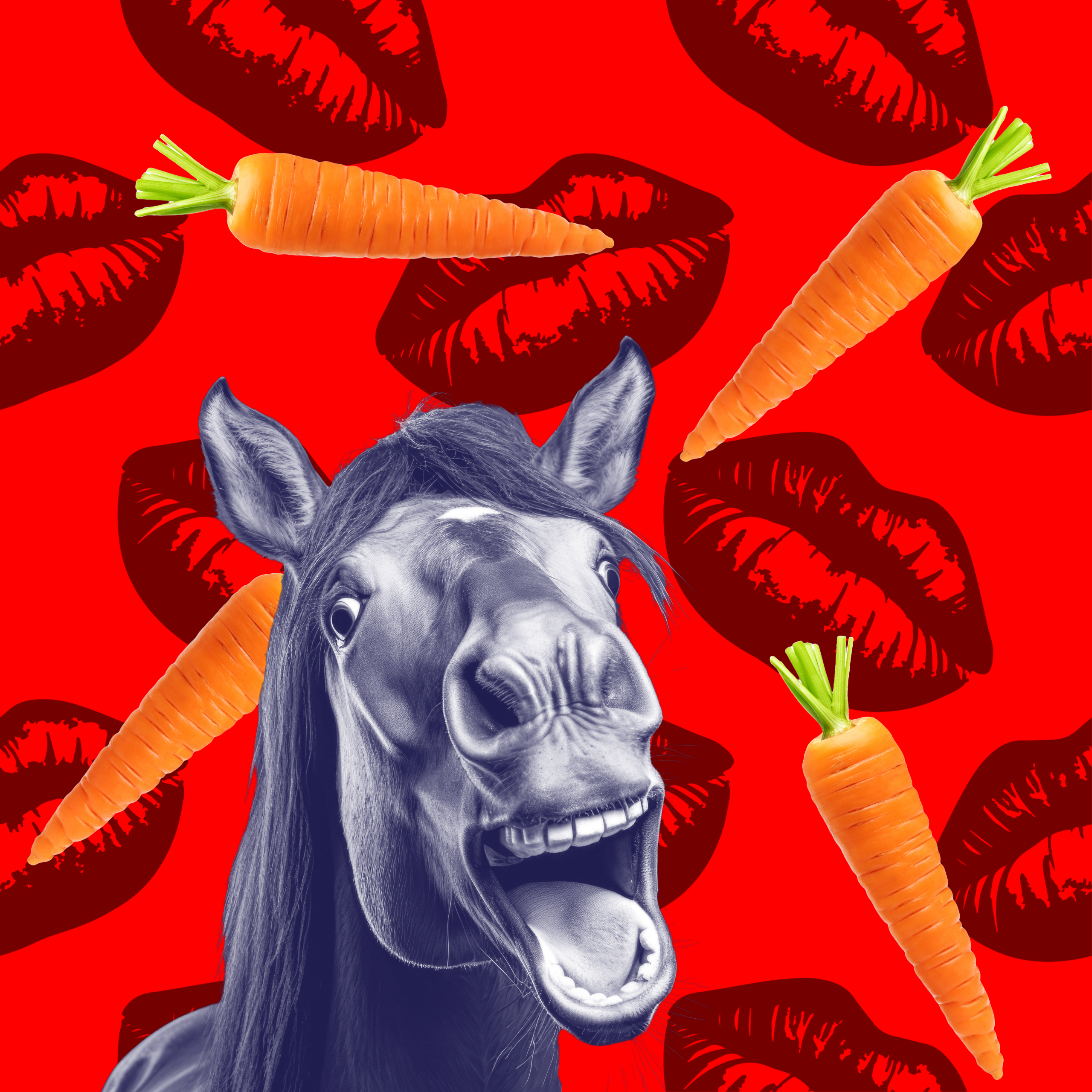 dreamers & schemers, horse-o-scope, equestrian horoscope, boot socks, spur straps, equestrian accessories
