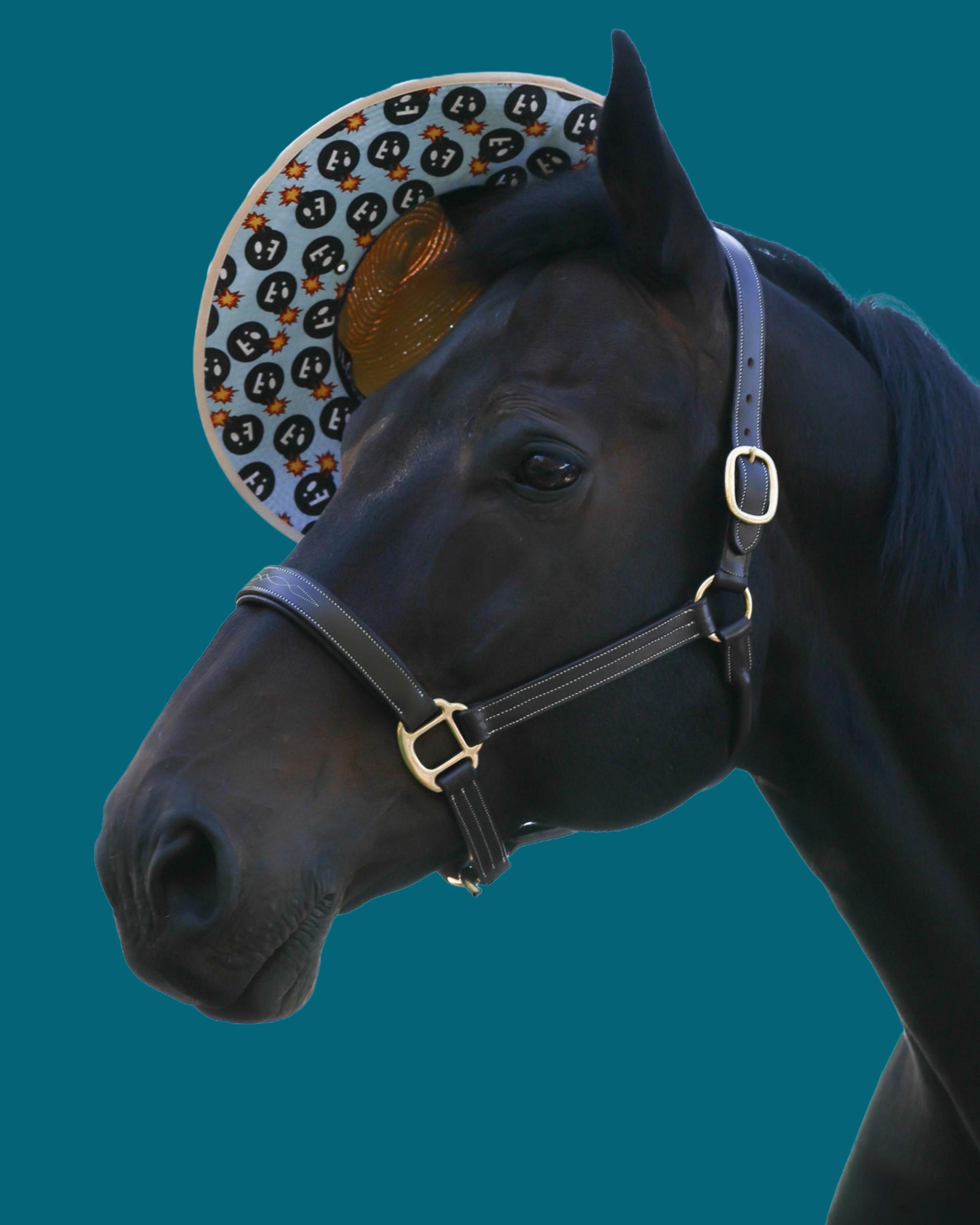 Dreamers & Schemers New Arrivals