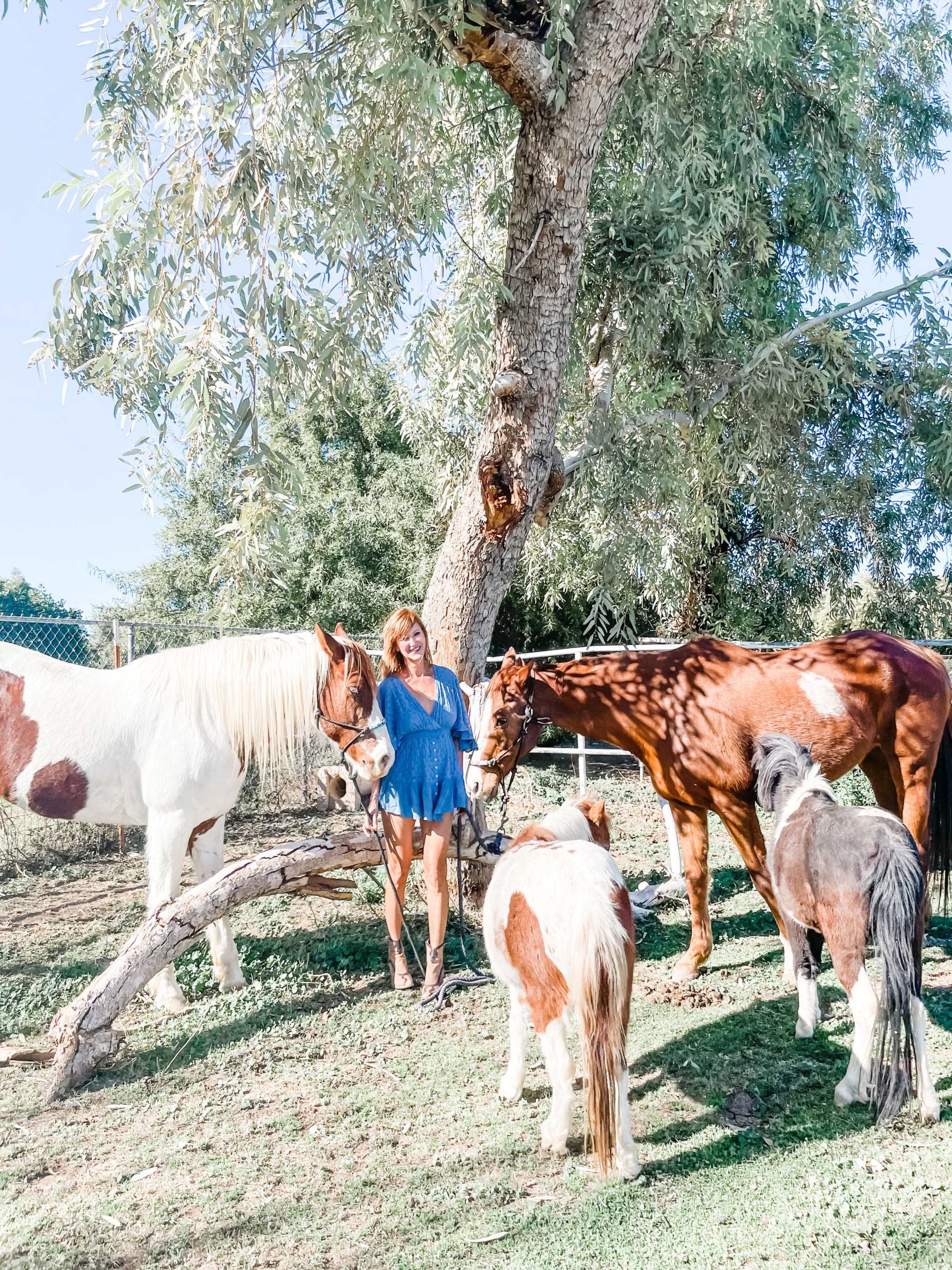 Pony Mac