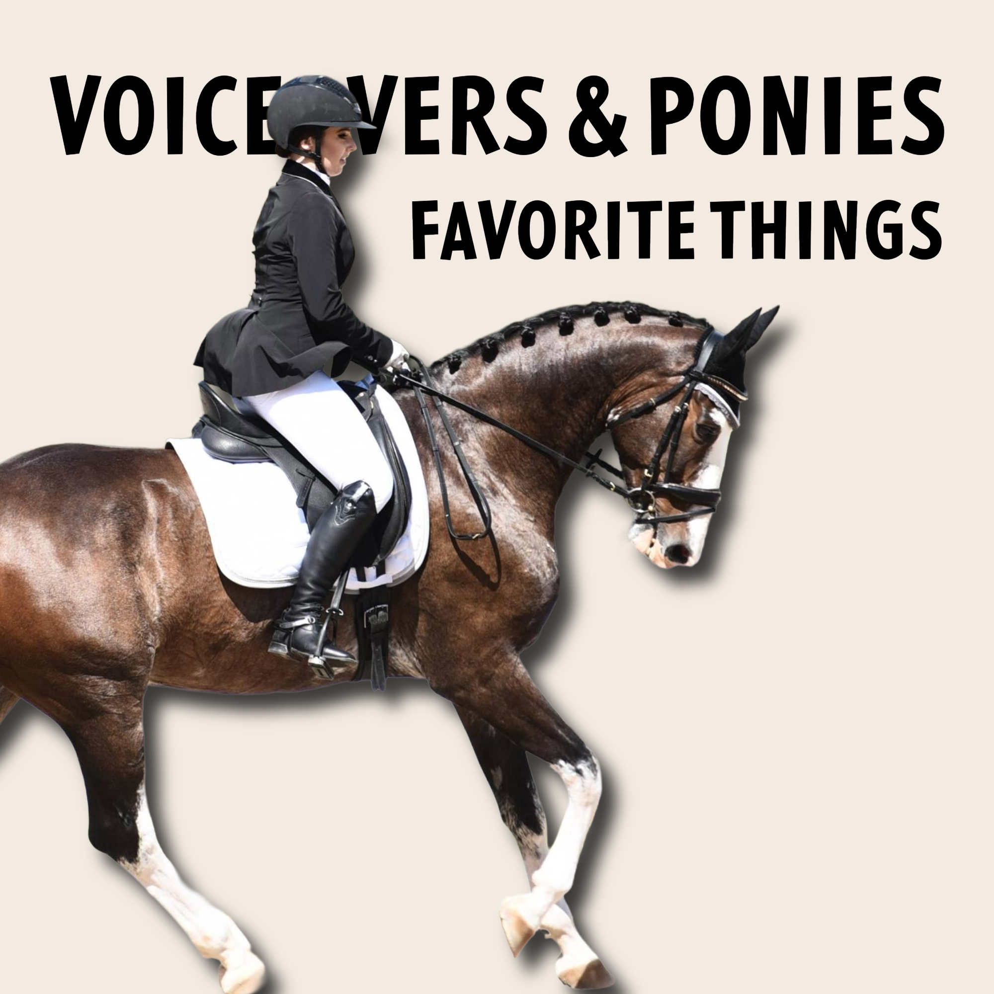 Voiceovers and Ponies Favorite Riding Accessories