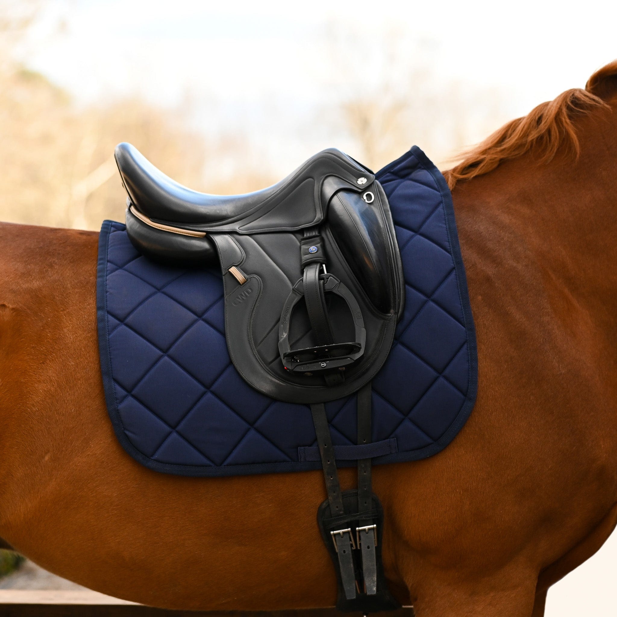 Solid Color Saddle Pads - Wholesale