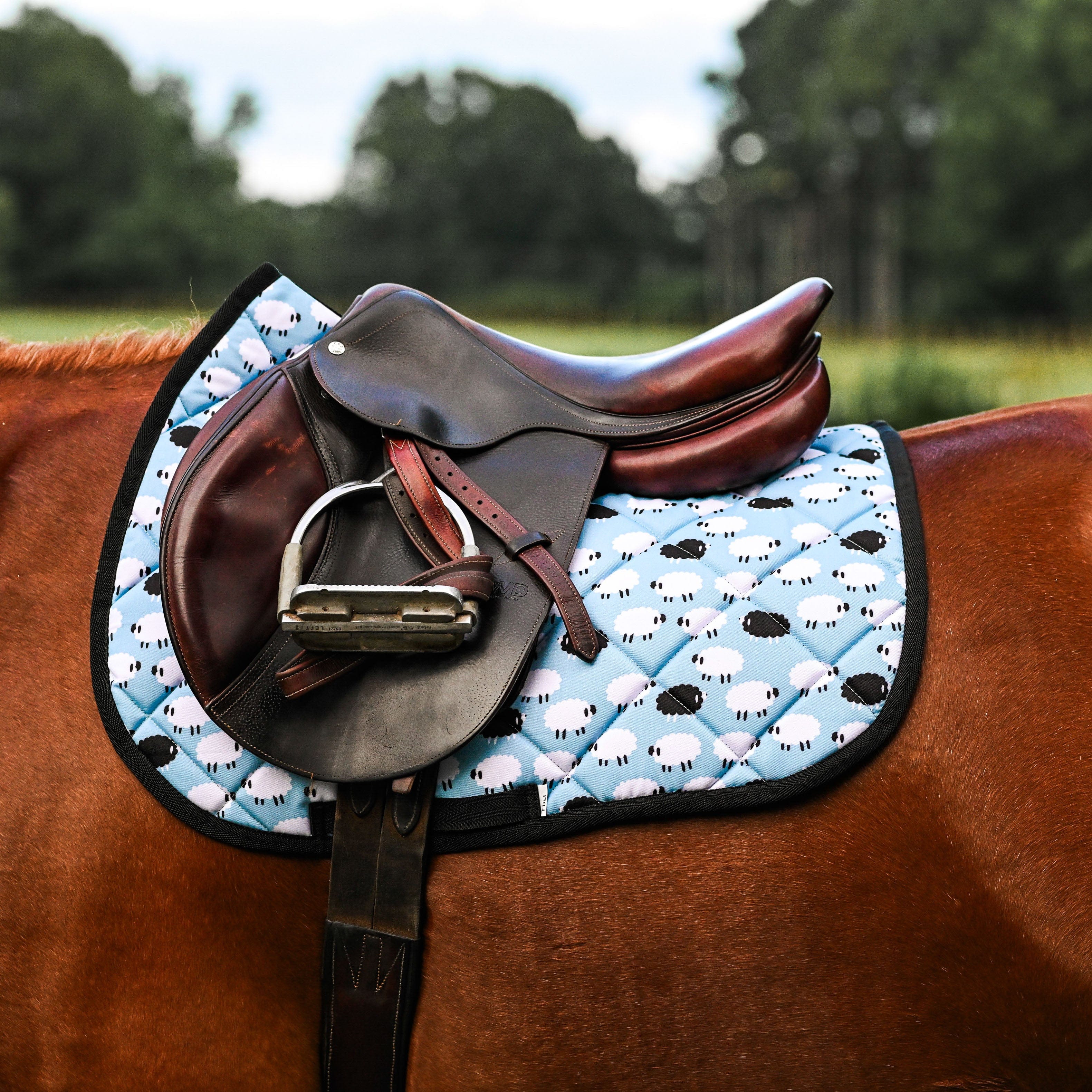 Saddle Pads - Wholesale