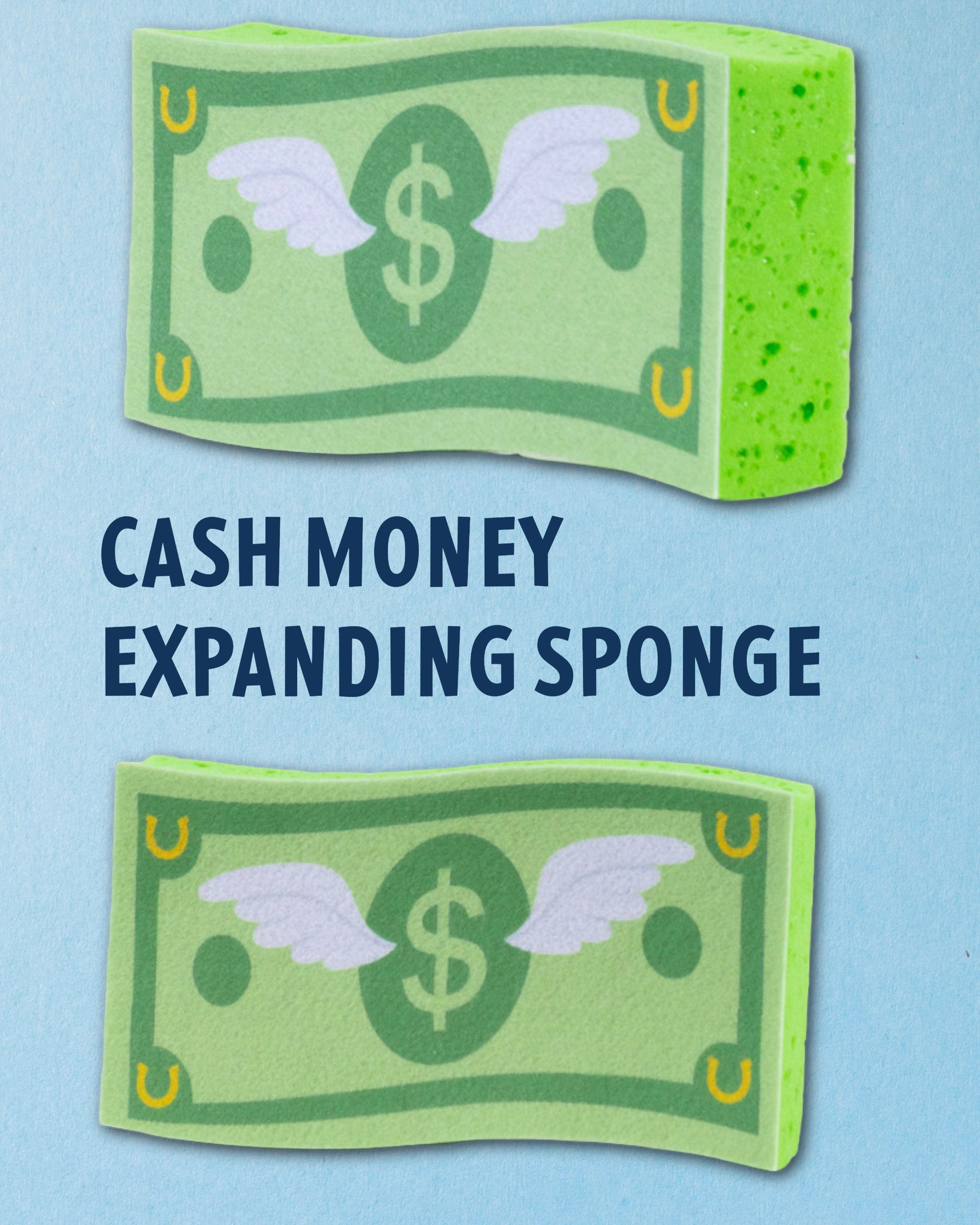 Cash Money expanding horse bath sponge shown printed side up and edge on, by Dreamers & Schemers