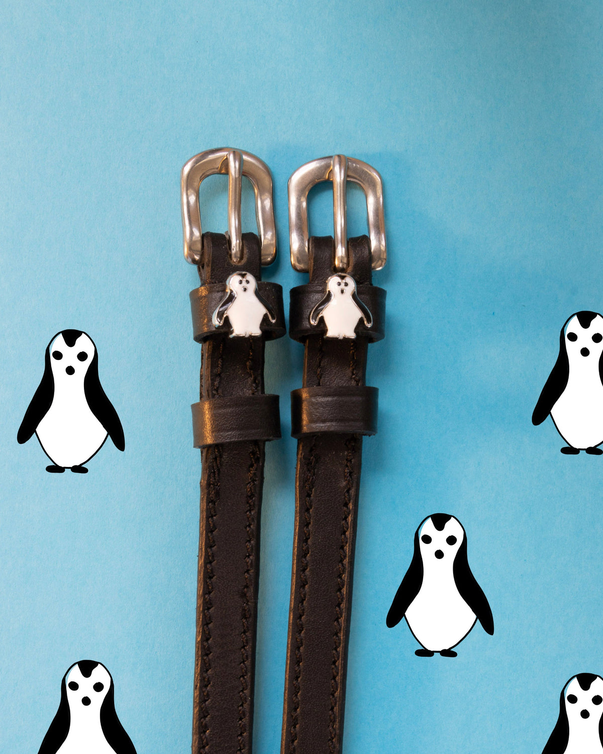 Pair of Penguin ManeJane spur straps, black leather with stainless buckles, on a light blue backdrop
