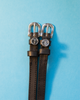 Aries Spur Straps