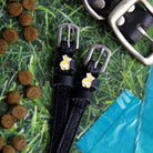 Corgi butt spur straps on grass with dog kibble, collar and poop bag